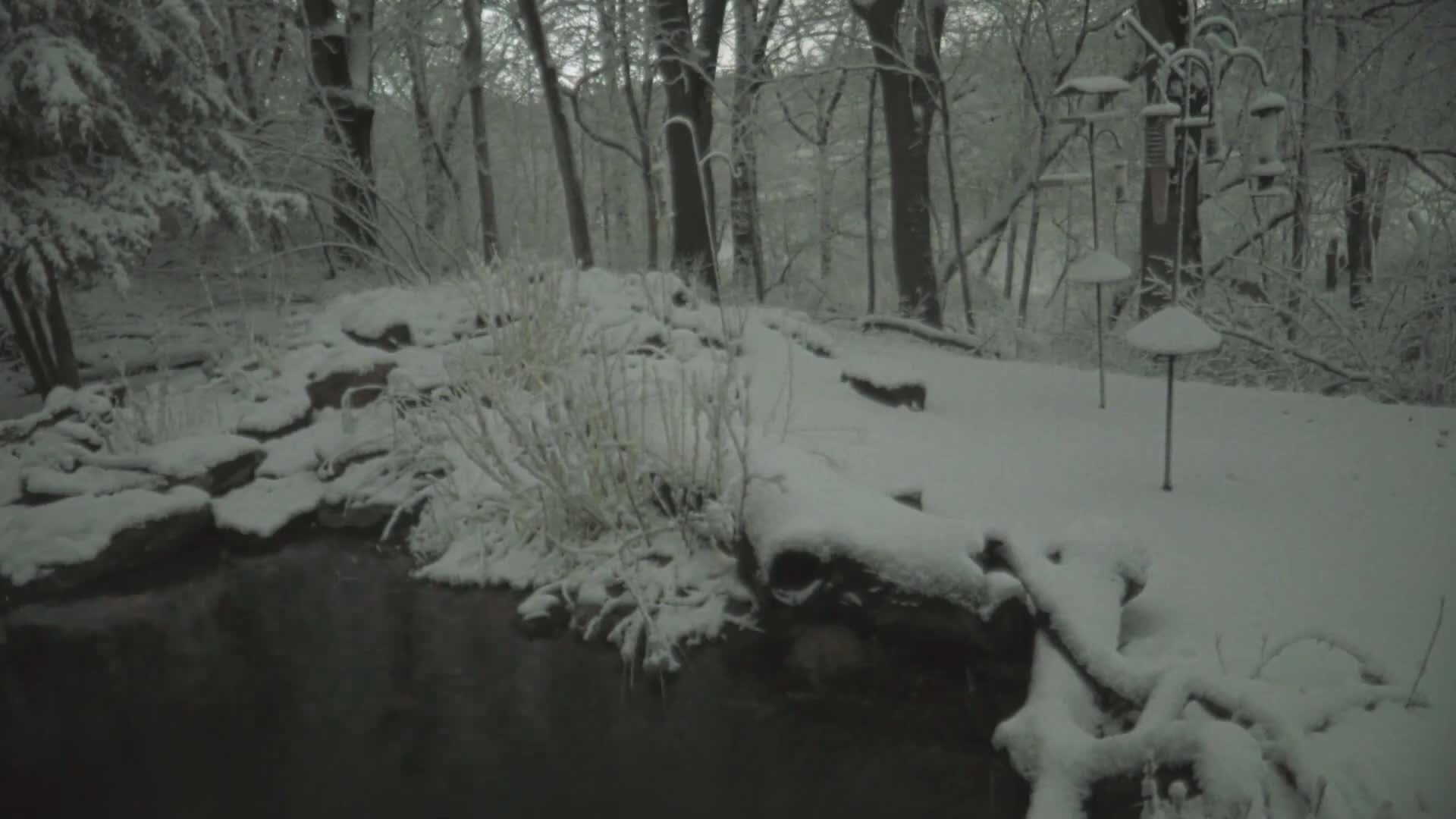 A snow-covered pond surrounded by snow-covered rocks and trees in a snowy woodland setting with bird feeders visible.