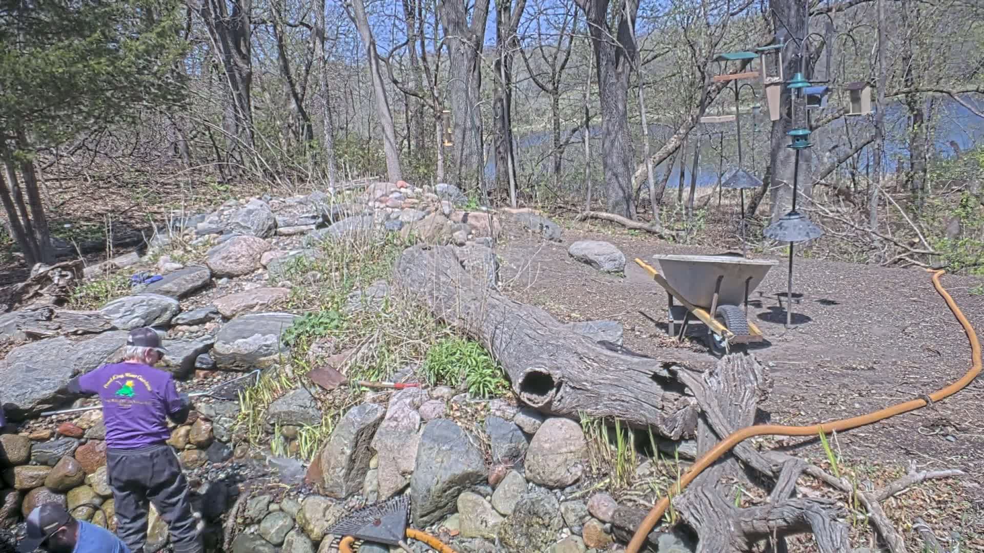 A person in a purple shirt works on a rock garden near a body of water on a sunny day, with a wheelbarrow, garden hose, and bird feeders nearby.