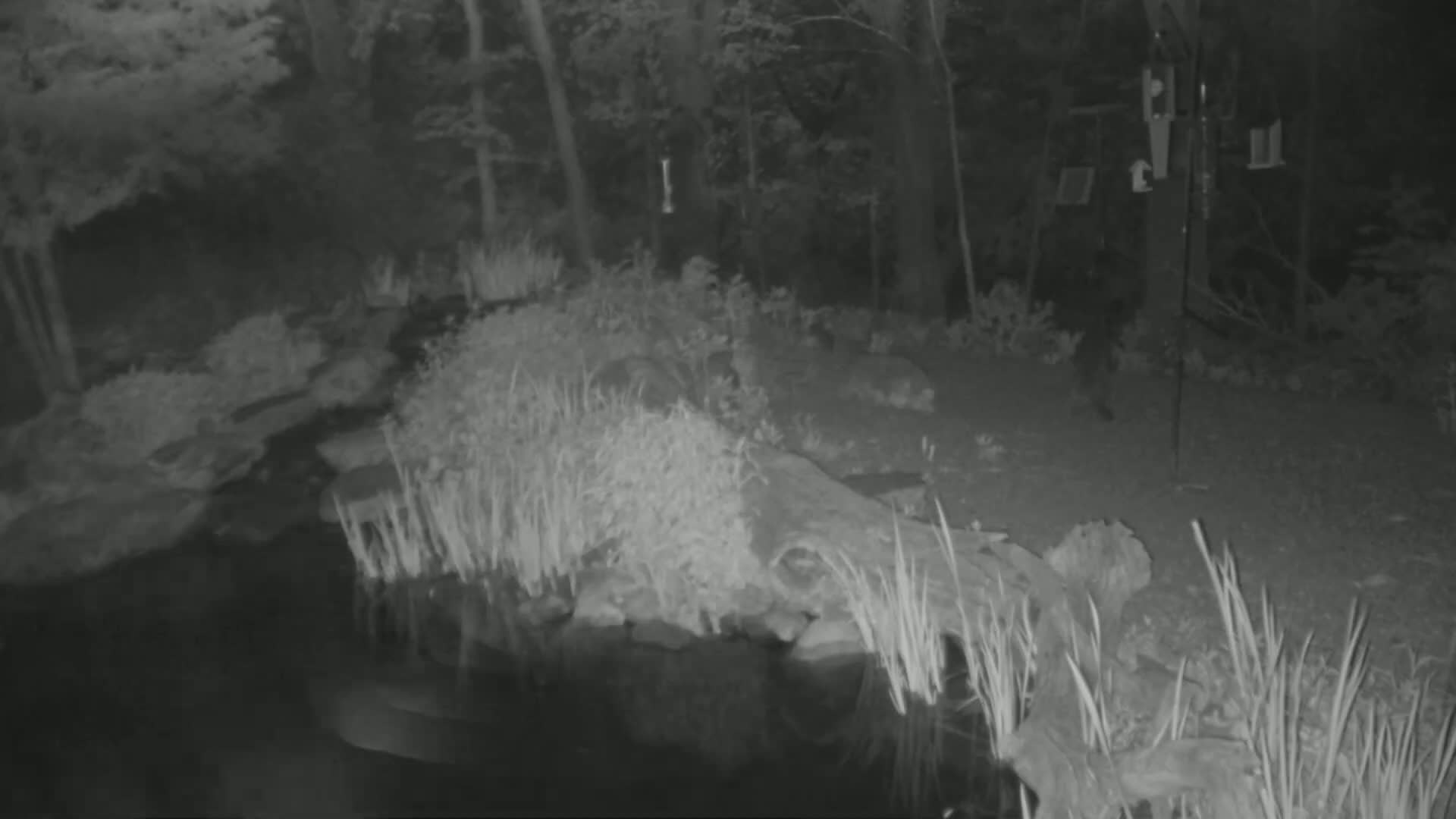 Bloomington, Richardson Nature Center Live Cam – Bloomington, Hennepin, Minnesota, USA