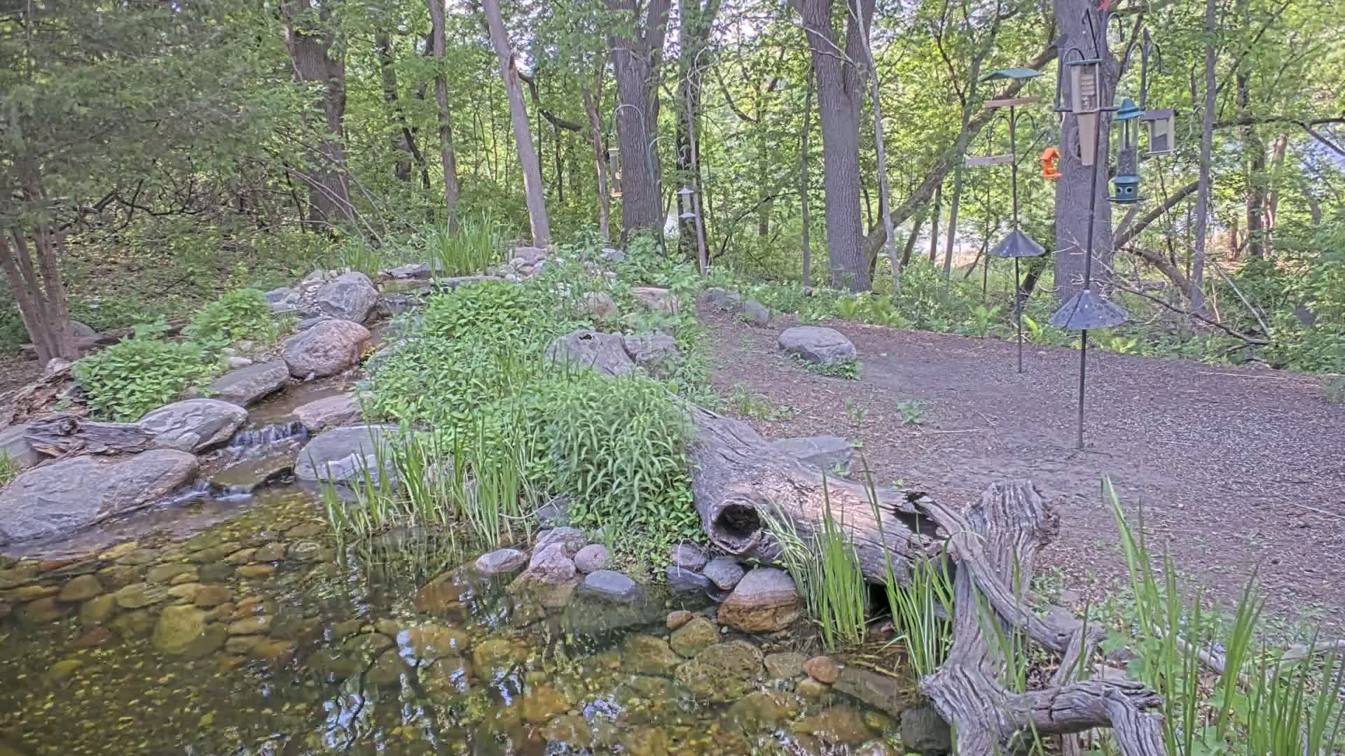 Bloomington, Richardson Nature Center Live Cam – Bloomington, Hennepin, Minnesota, USA