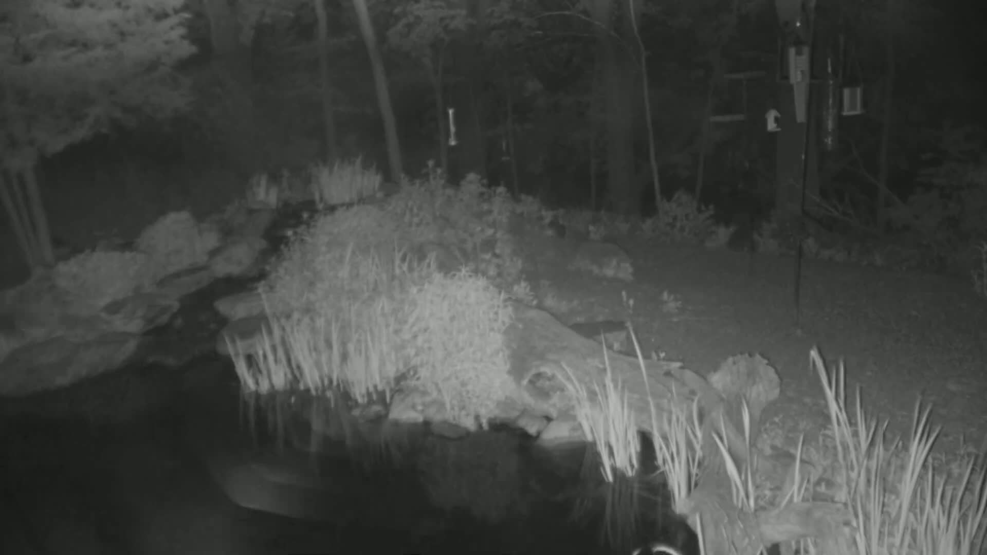 Bloomington, Richardson Nature Center Live Cam – Bloomington, Hennepin, Minnesota, USA