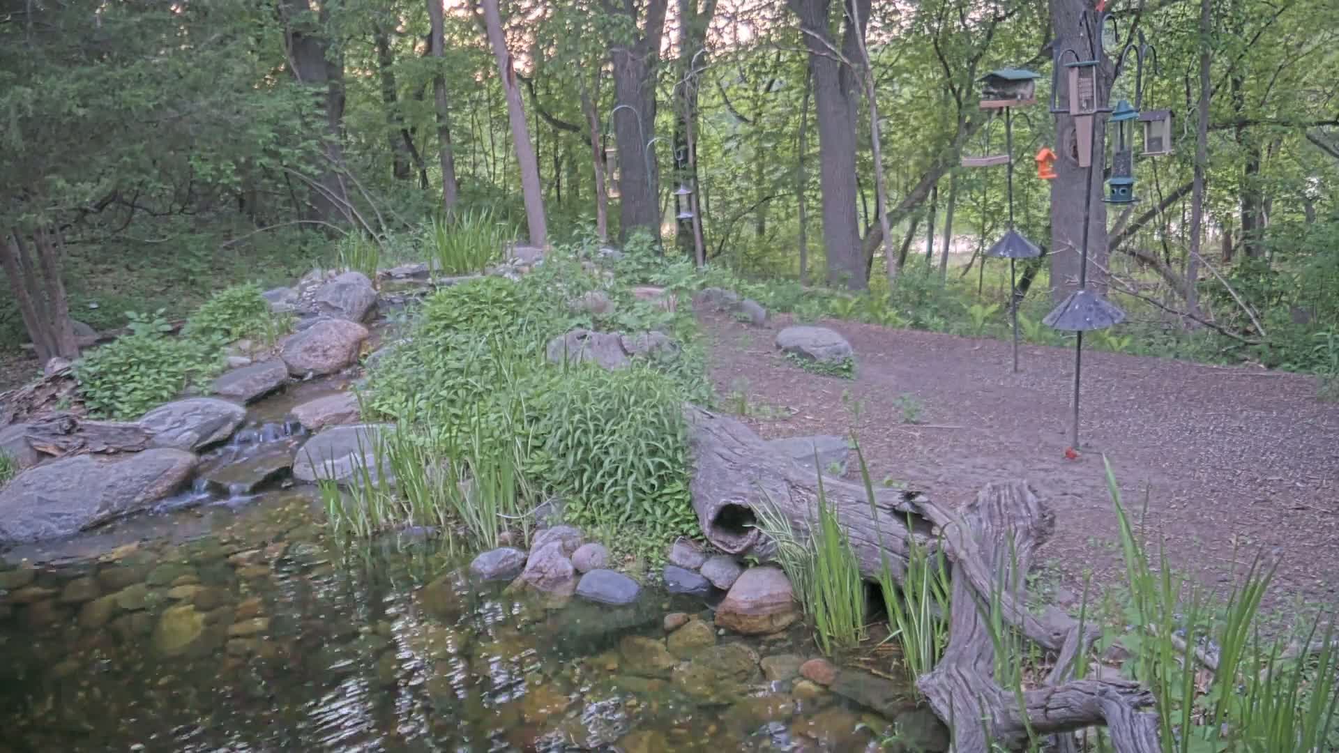 Bloomington, Richardson Nature Center Live Cam – Bloomington, Hennepin, Minnesota, USA