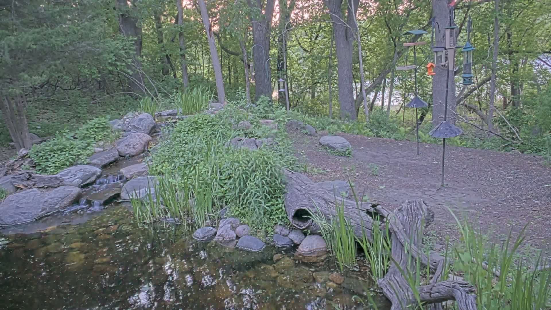 Bloomington, Richardson Nature Center Live Cam – Bloomington, Hennepin, Minnesota, USA