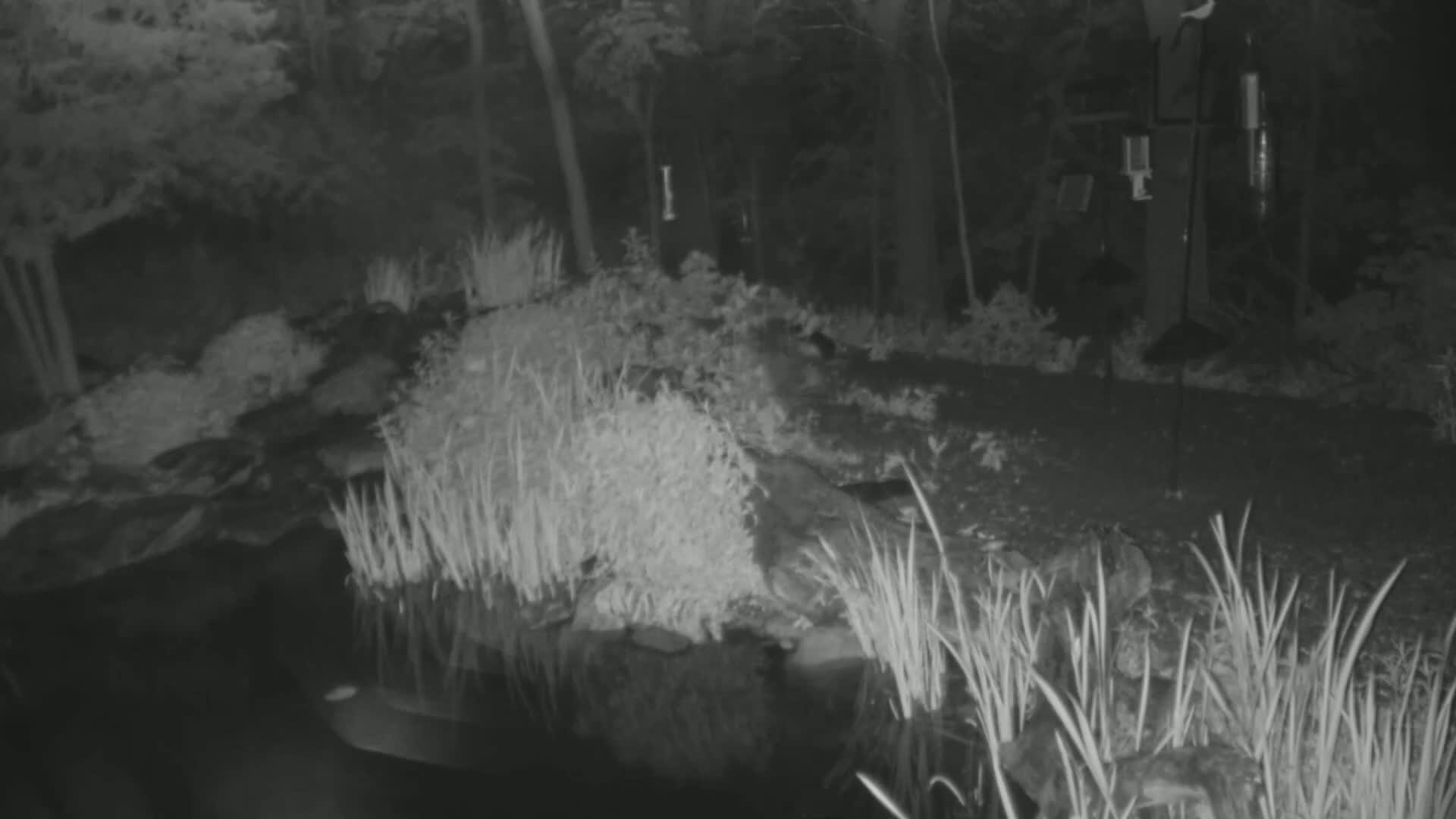 Bloomington, Richardson Nature Center Live Cam – Bloomington, Hennepin, Minnesota, USA