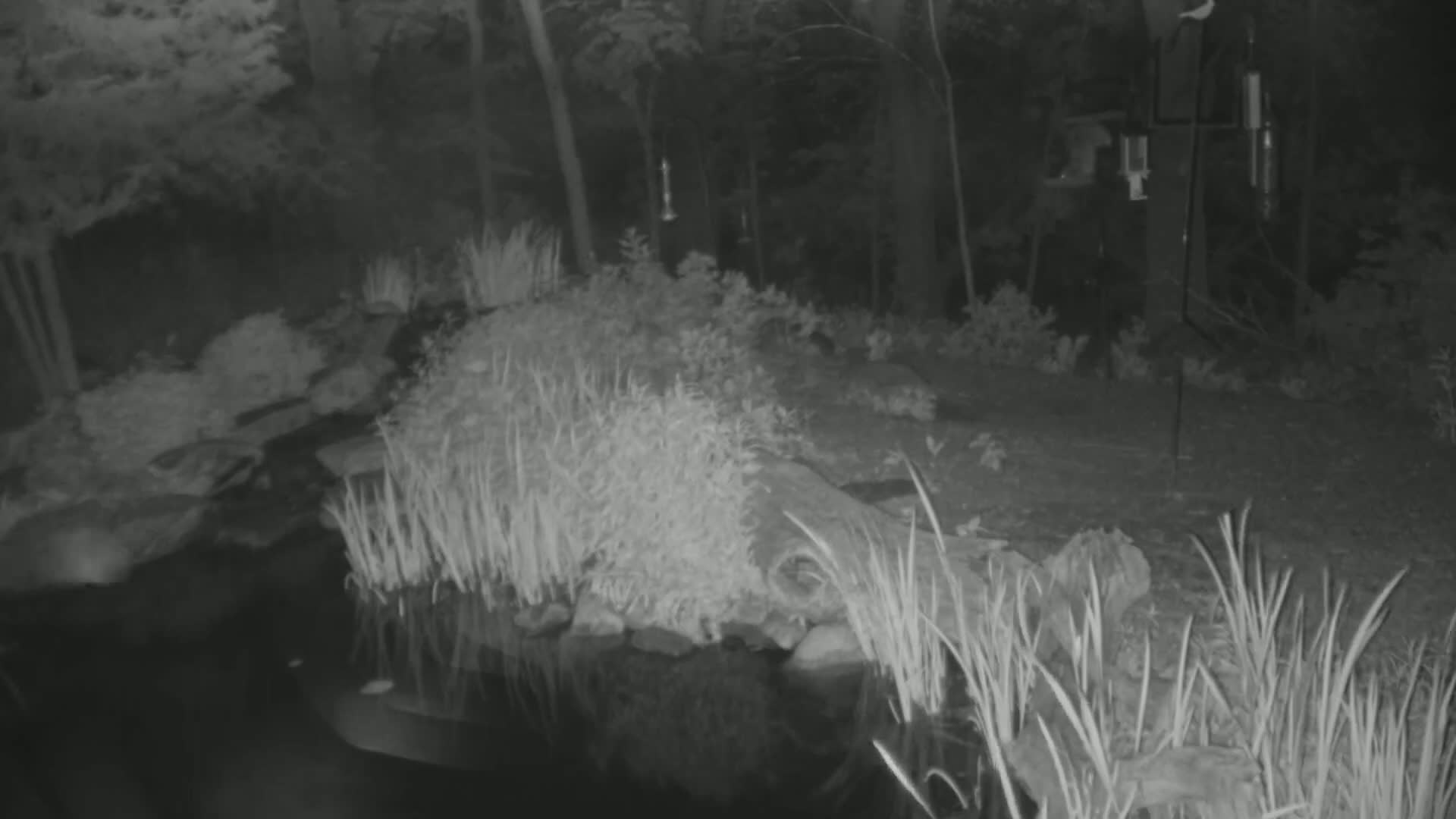 Bloomington, Richardson Nature Center Live Cam – Bloomington, Hennepin, Minnesota, USA