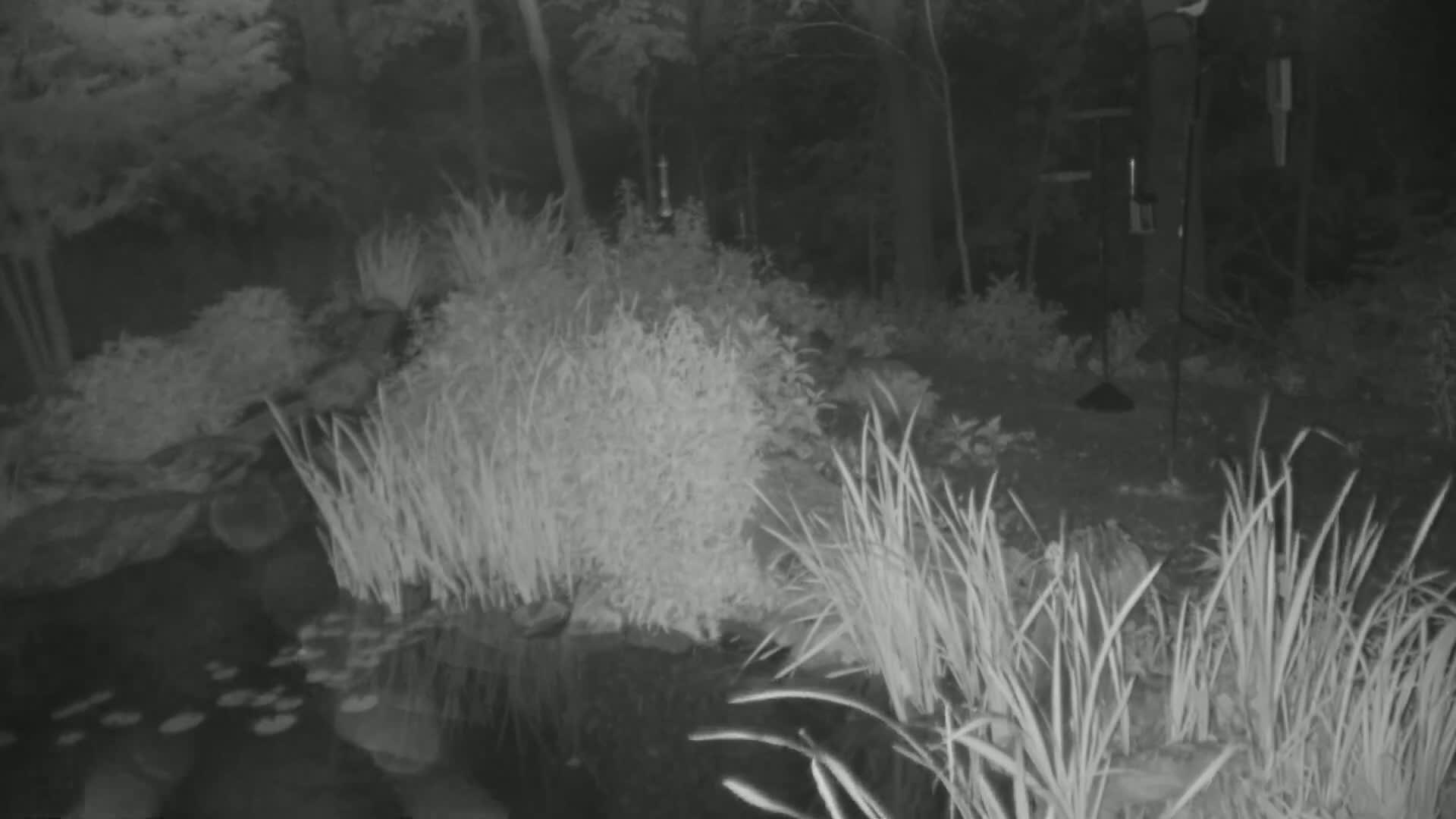 Bloomington, Richardson Nature Center Live Cam – Bloomington, Hennepin, Minnesota, USA