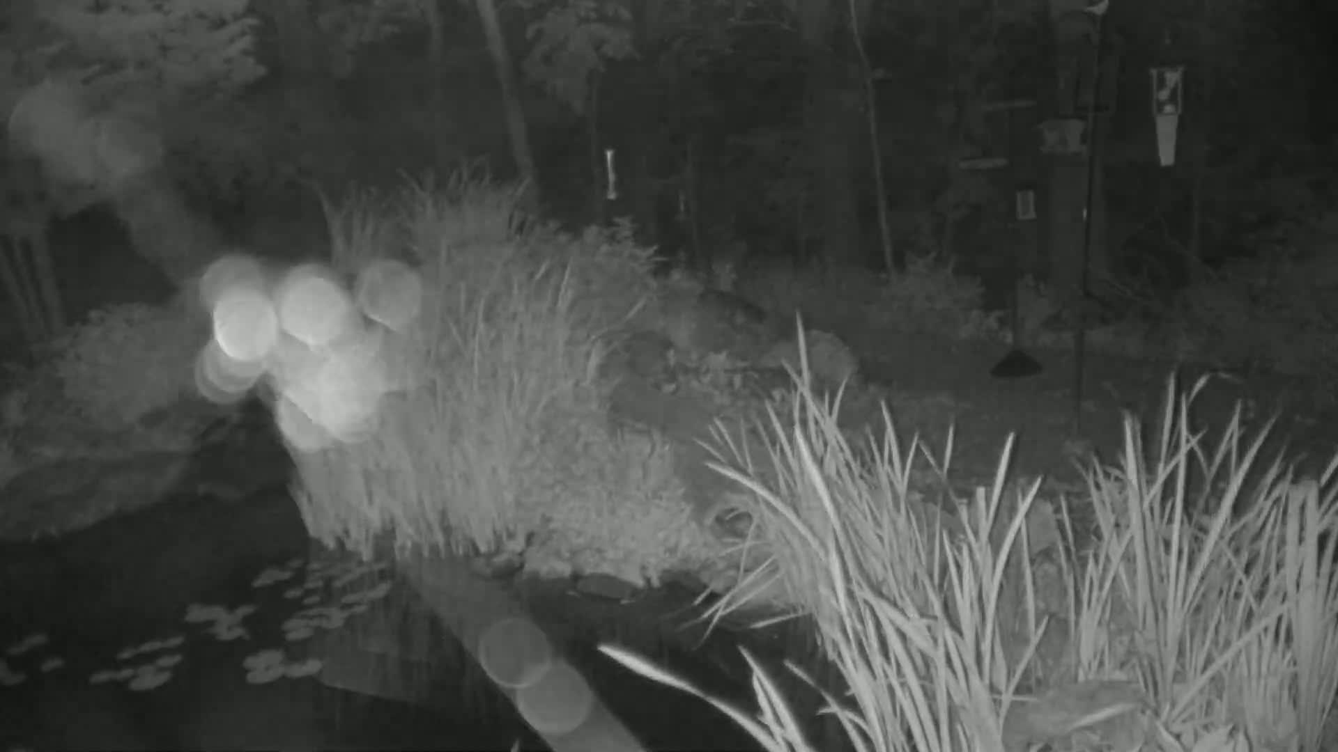 Bloomington, Richardson Nature Center Live Cam – Bloomington, Hennepin, Minnesota, USA