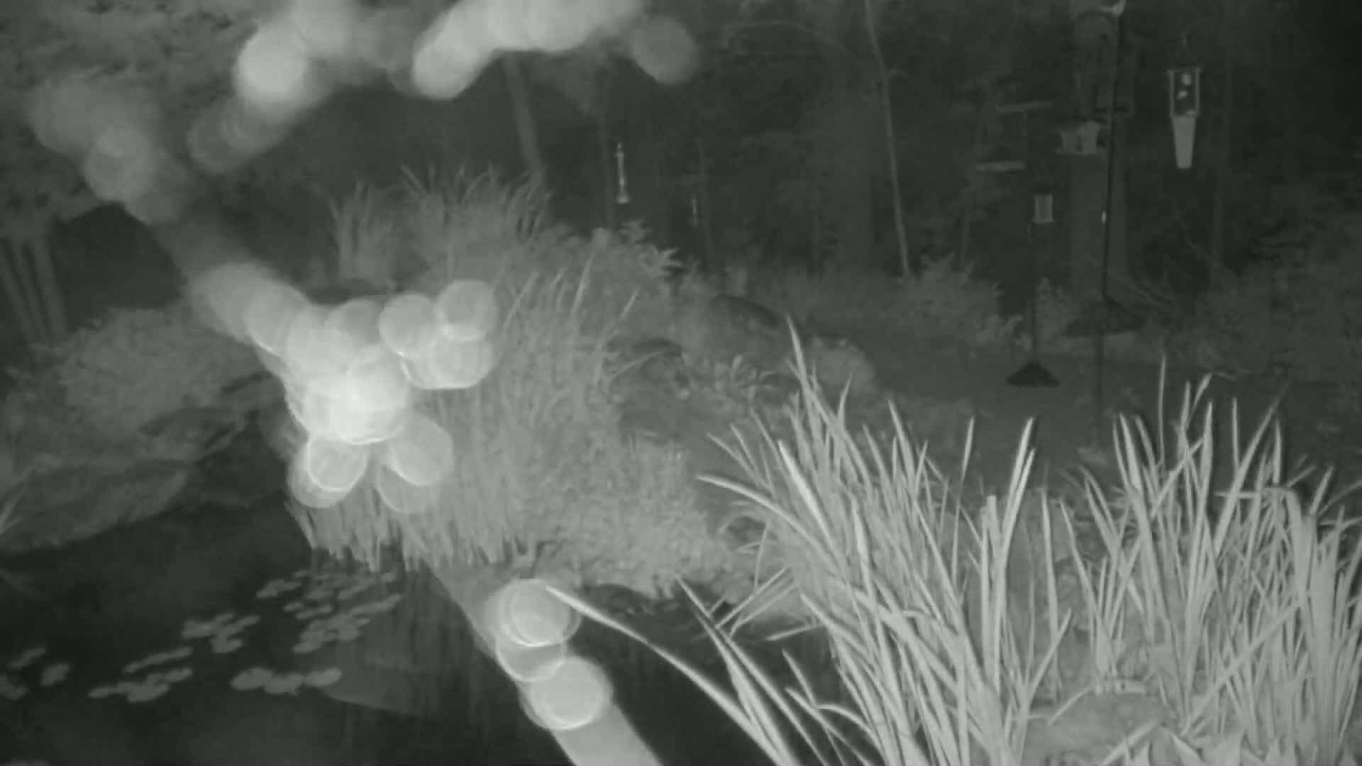 Bloomington, Richardson Nature Center Live Cam – Bloomington, Hennepin, Minnesota, USA