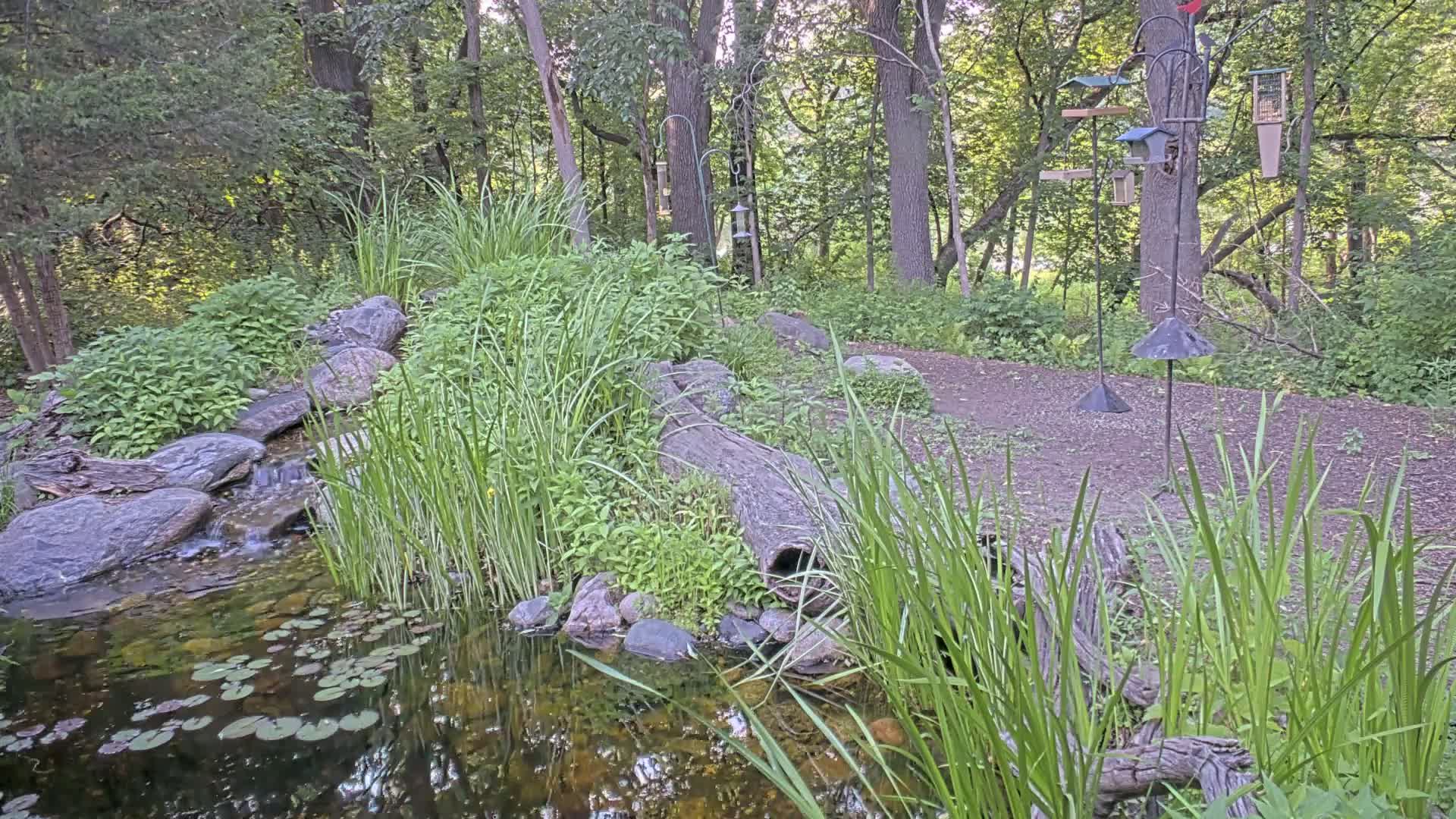 Bloomington, Richardson Nature Center Live Cam – Bloomington, Hennepin, Minnesota, USA
