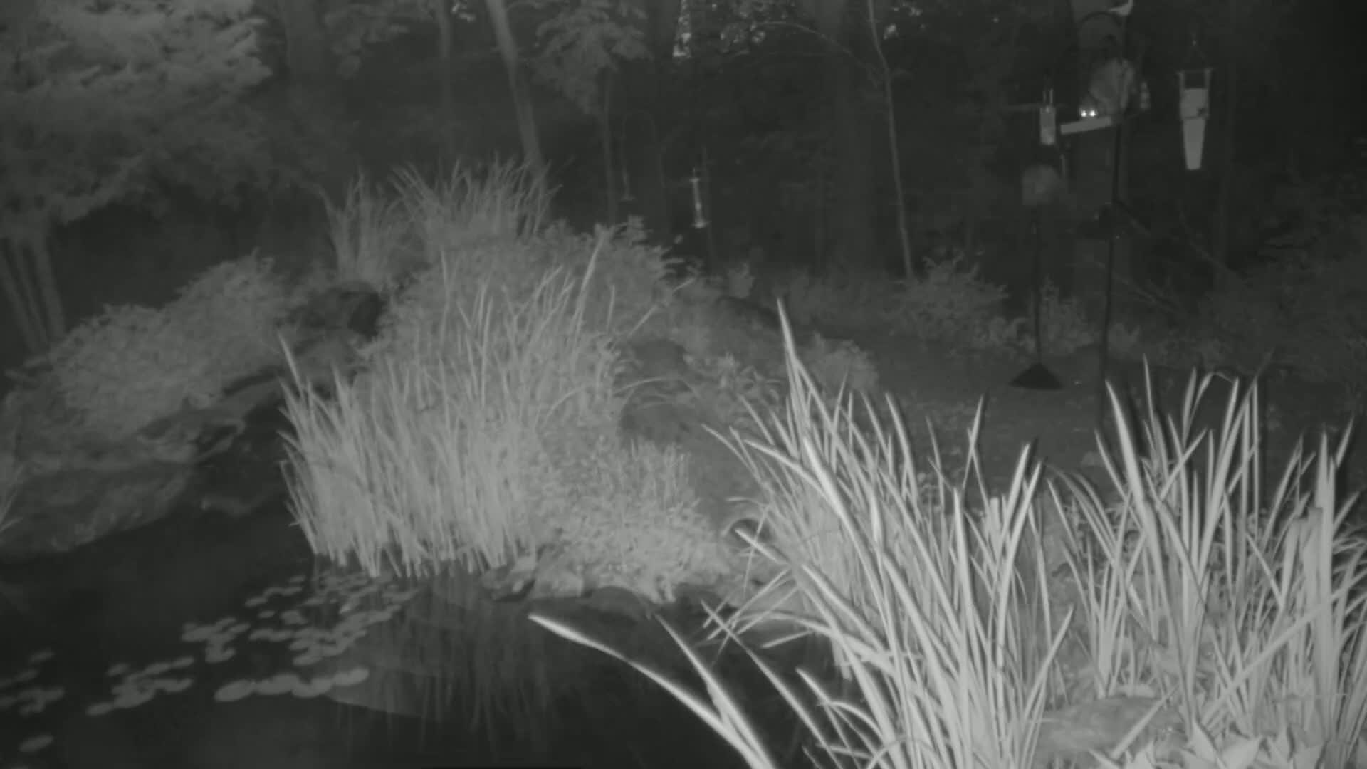 Bloomington, Richardson Nature Center Live Cam – Bloomington, Hennepin, Minnesota, USA