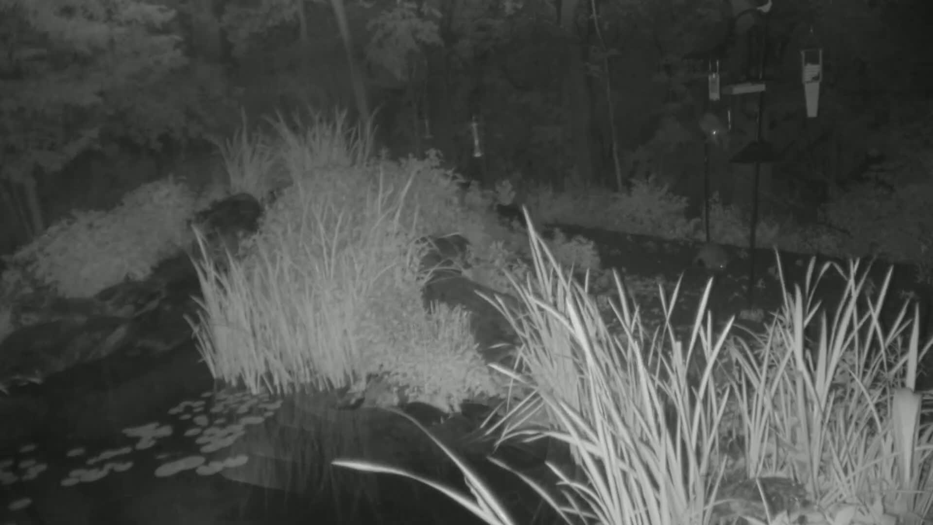 Bloomington, Richardson Nature Center Live Cam – Bloomington, Hennepin, Minnesota, USA