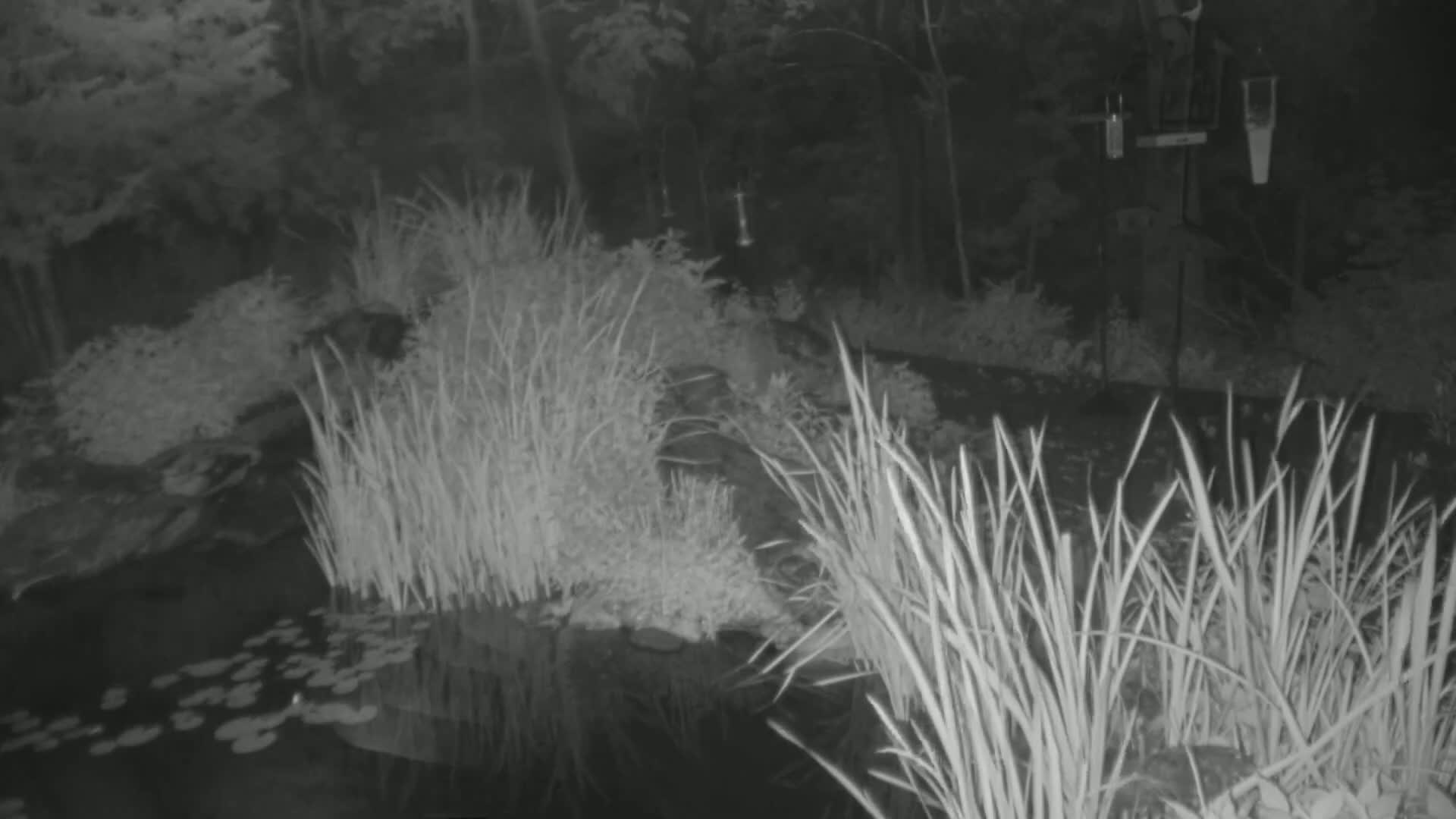 Bloomington, Richardson Nature Center Live Cam – Bloomington, Hennepin, Minnesota, USA