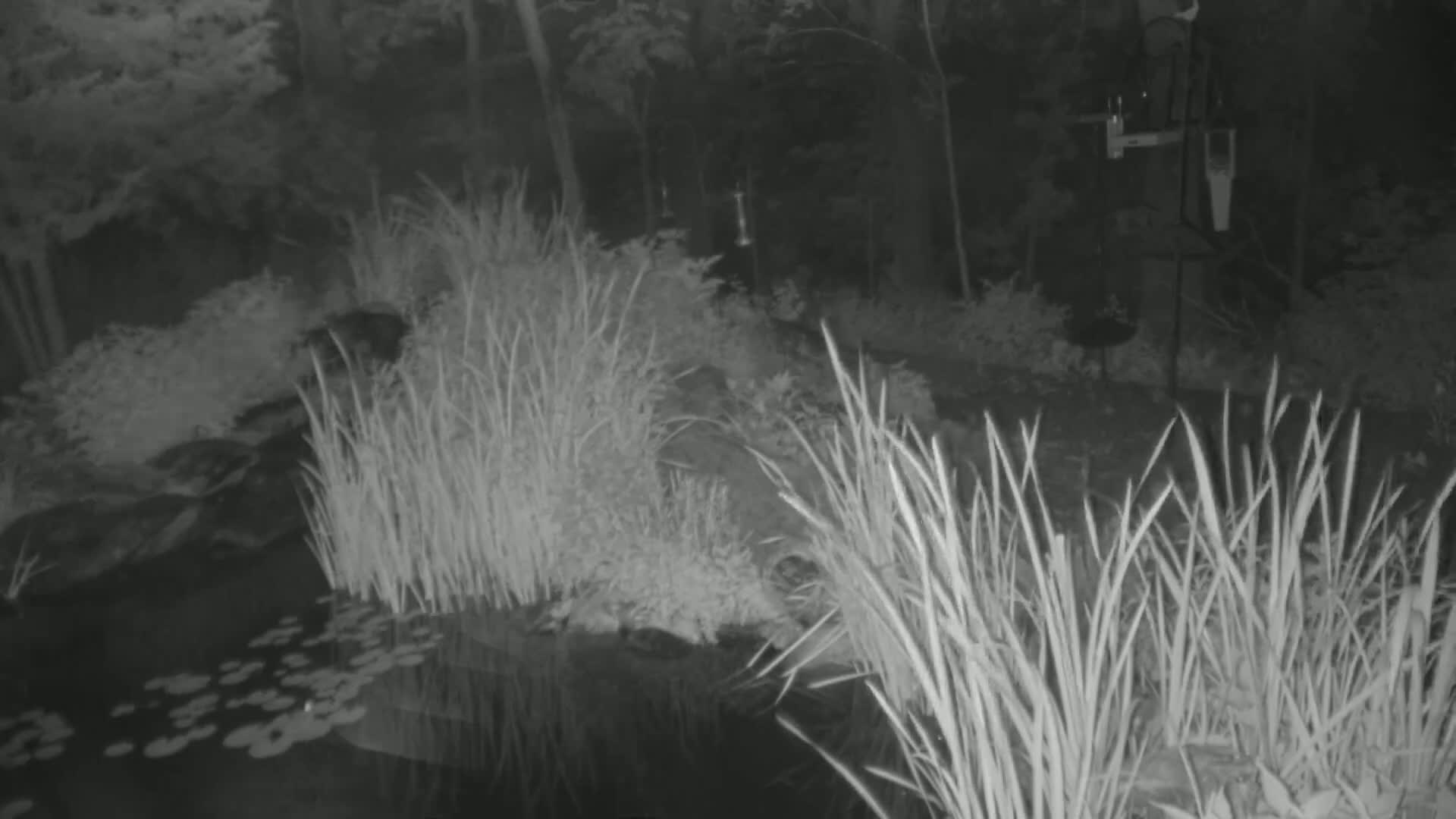 Bloomington, Richardson Nature Center Live Cam – Bloomington, Hennepin, Minnesota, USA