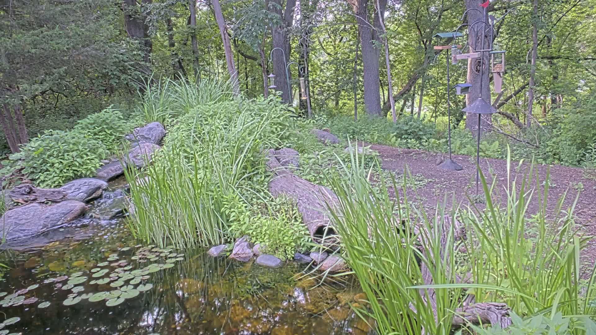 Bloomington, Richardson Nature Center Live Cam – Bloomington, Hennepin, Minnesota, USA