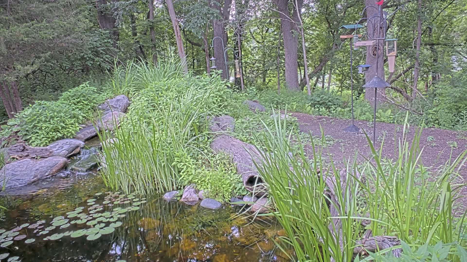 Bloomington, Richardson Nature Center Live Cam – Bloomington, Hennepin, Minnesota, USA