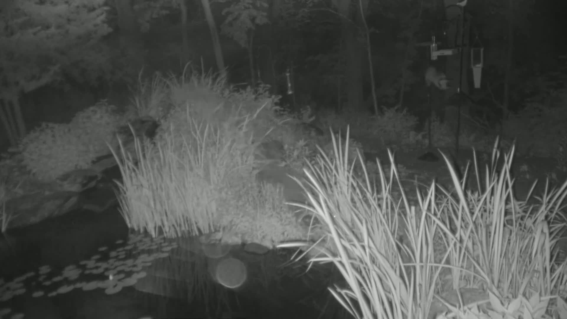 Bloomington, Richardson Nature Center Live Cam – Bloomington, Hennepin, Minnesota, USA