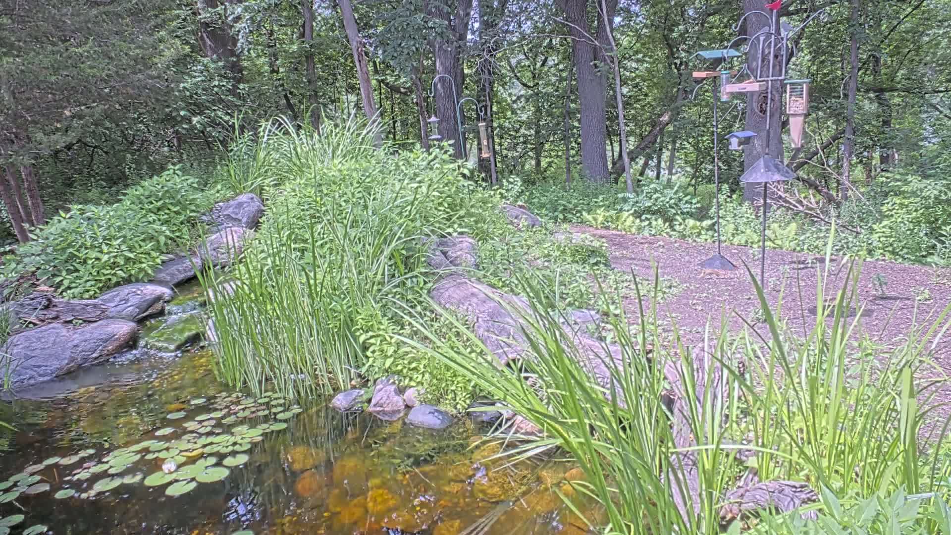 Bloomington, Richardson Nature Center Live Cam – Bloomington, Hennepin, Minnesota, USA