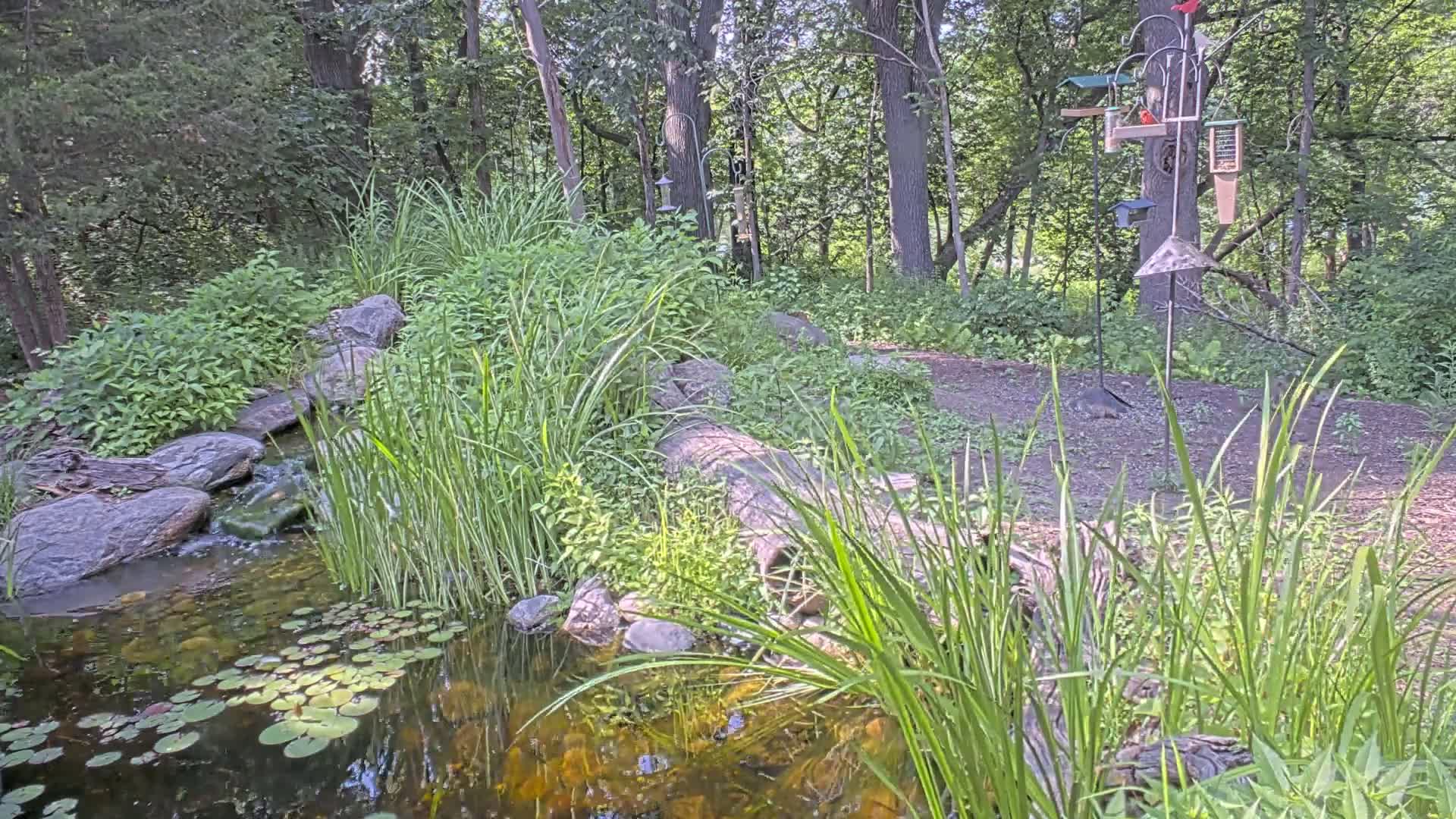 Bloomington, Richardson Nature Center Live Cam – Bloomington, Hennepin, Minnesota, USA