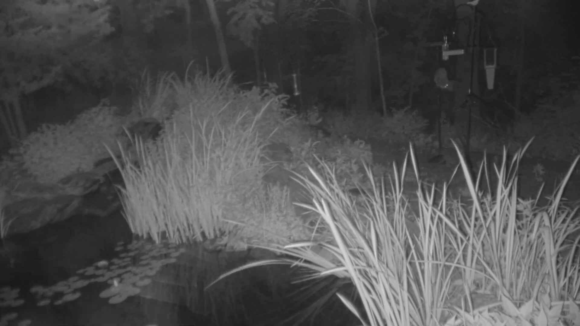 Bloomington, Richardson Nature Center Live Cam – Bloomington, Hennepin, Minnesota, USA