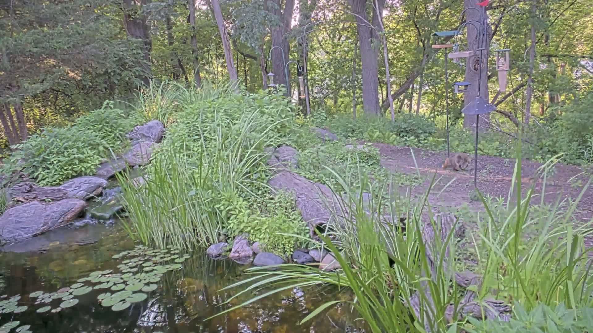 Bloomington, Richardson Nature Center Live Cam – Bloomington, Hennepin, Minnesota, USA
