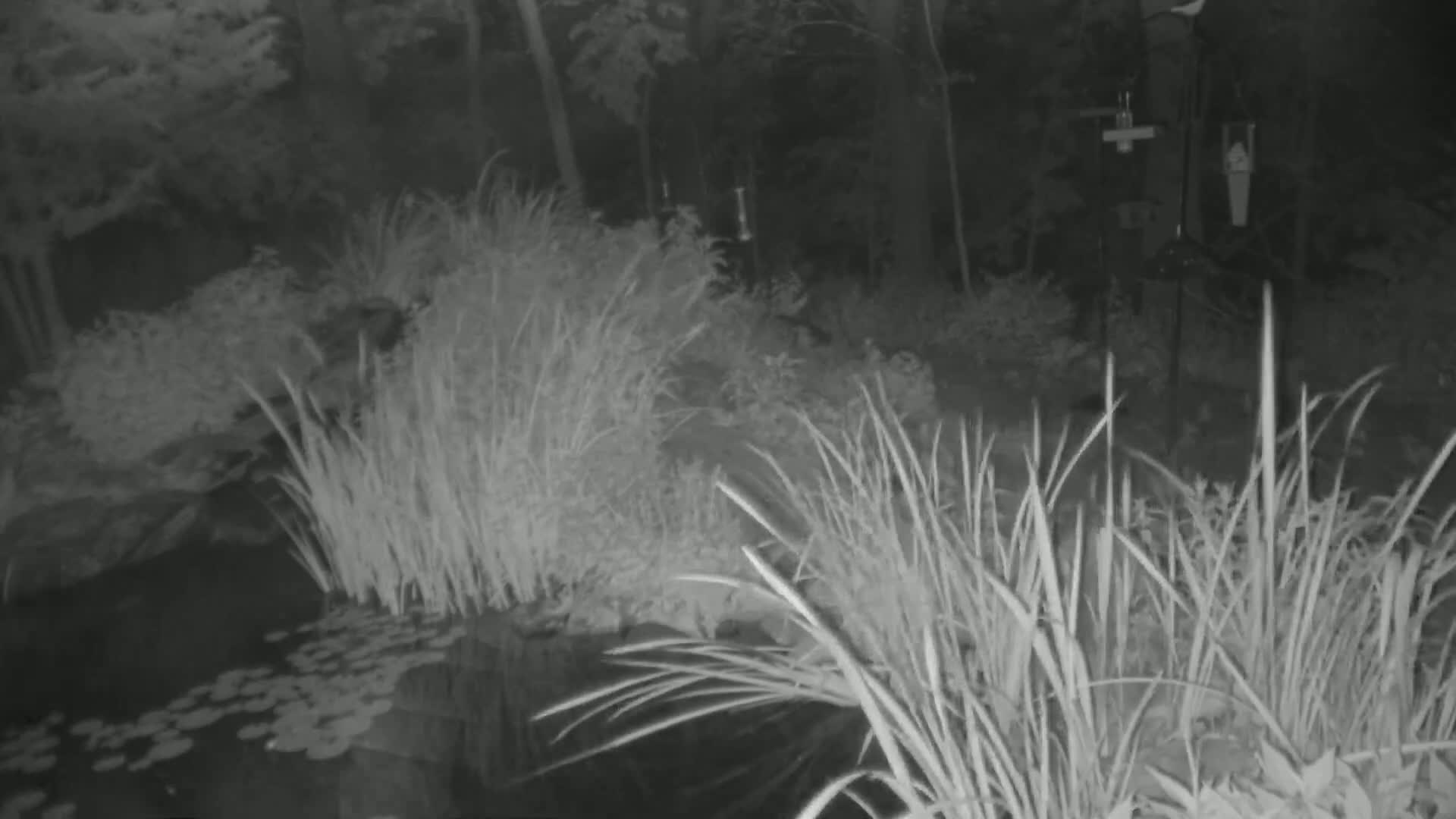 Bloomington, Richardson Nature Center Live Cam – Bloomington, Hennepin, Minnesota, USA