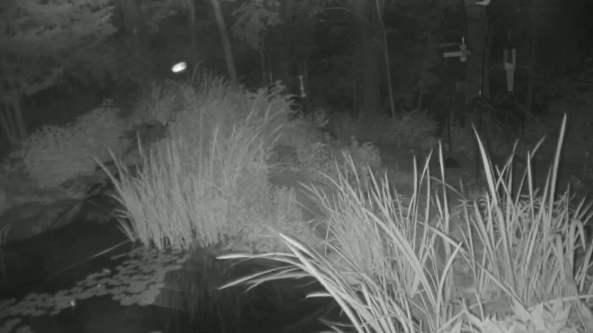 Bloomington, Richardson Nature Center Live Cam – Bloomington, Hennepin, Minnesota, USA