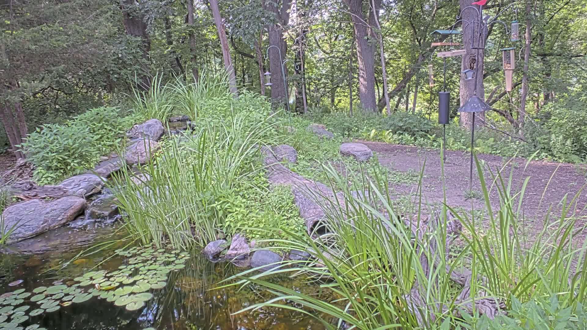 Bloomington, Richardson Nature Center Live Cam – Bloomington, Hennepin, Minnesota, USA