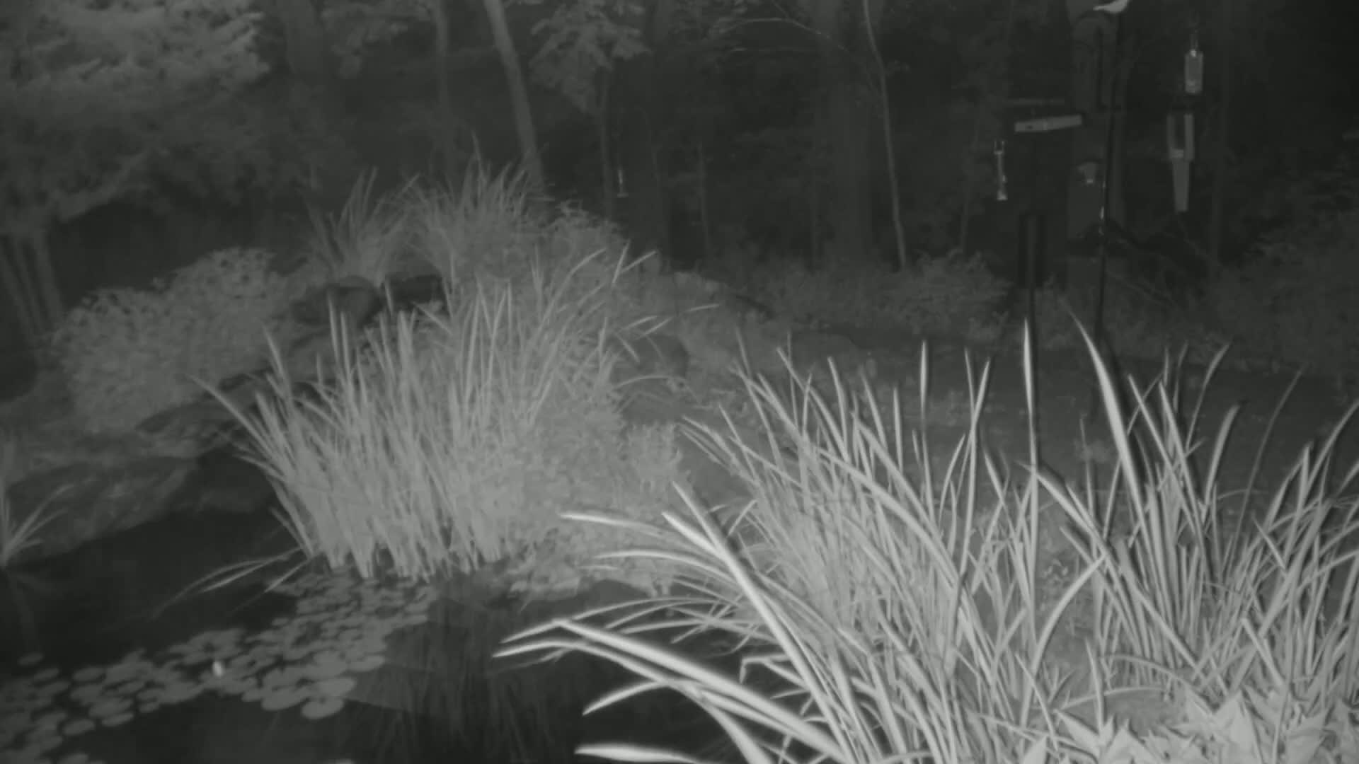 Bloomington, Richardson Nature Center Live Cam – Bloomington, Hennepin, Minnesota, USA