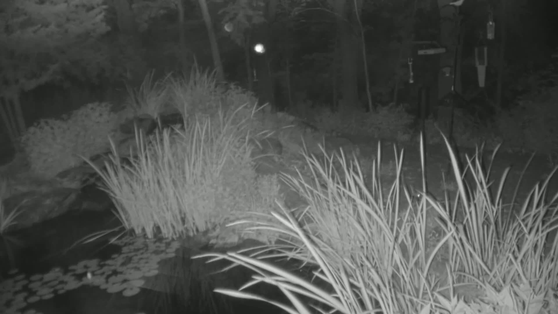 Bloomington, Richardson Nature Center Live Cam – Bloomington, Hennepin, Minnesota, USA