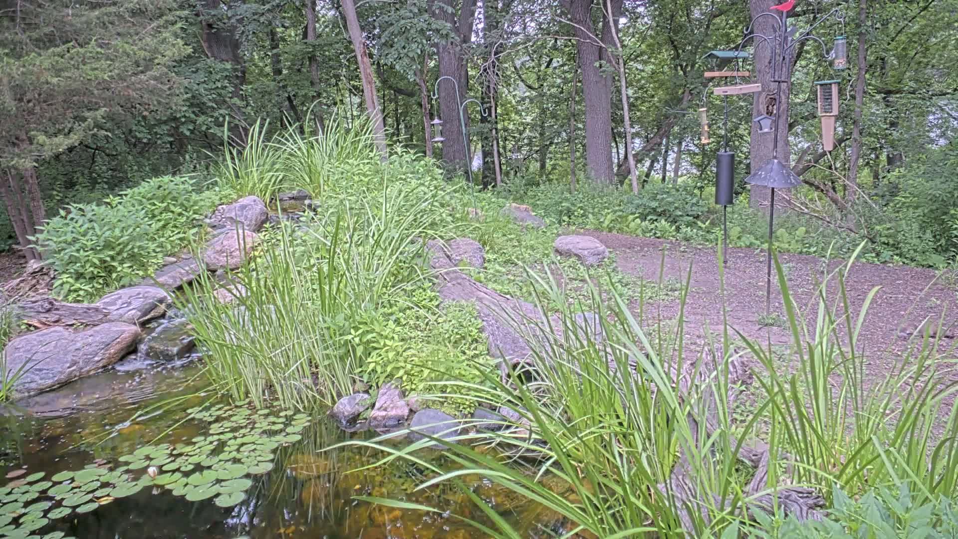Bloomington, Richardson Nature Center Live Cam – Bloomington, Hennepin, Minnesota, USA