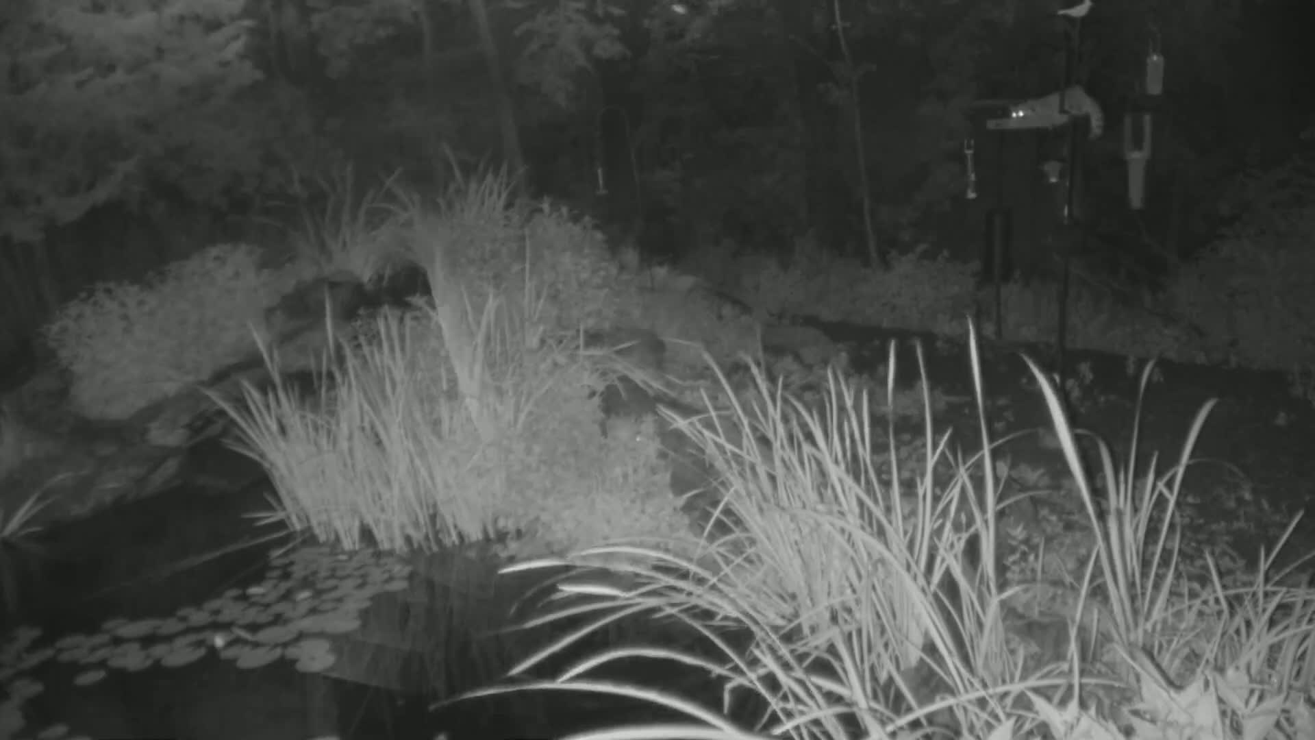 Bloomington, Richardson Nature Center Live Cam – Bloomington, Hennepin, Minnesota, USA