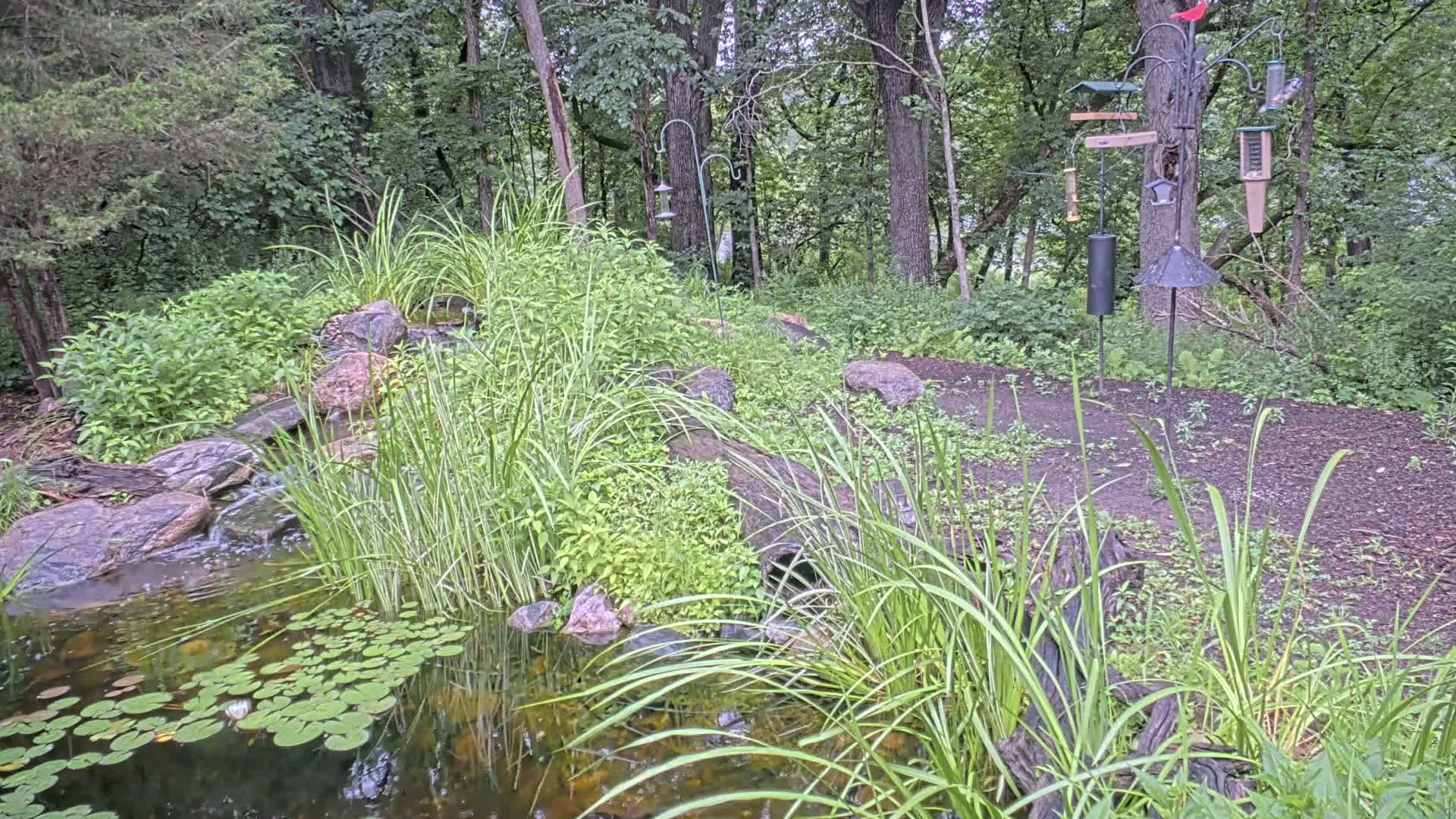 Bloomington, Richardson Nature Center Live Cam – Bloomington, Hennepin, Minnesota, USA