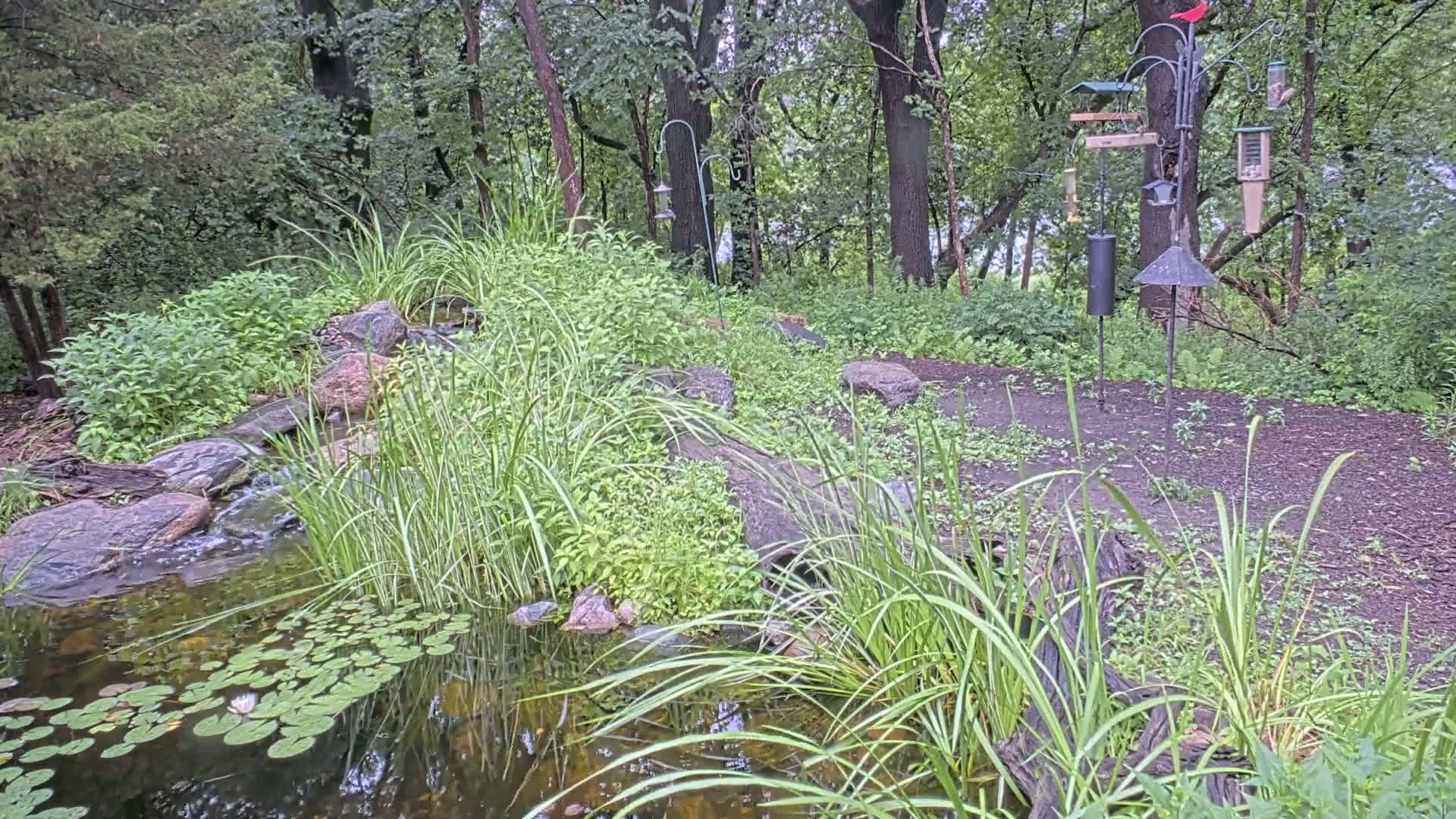 Bloomington, Richardson Nature Center Live Cam – Bloomington, Hennepin, Minnesota, USA