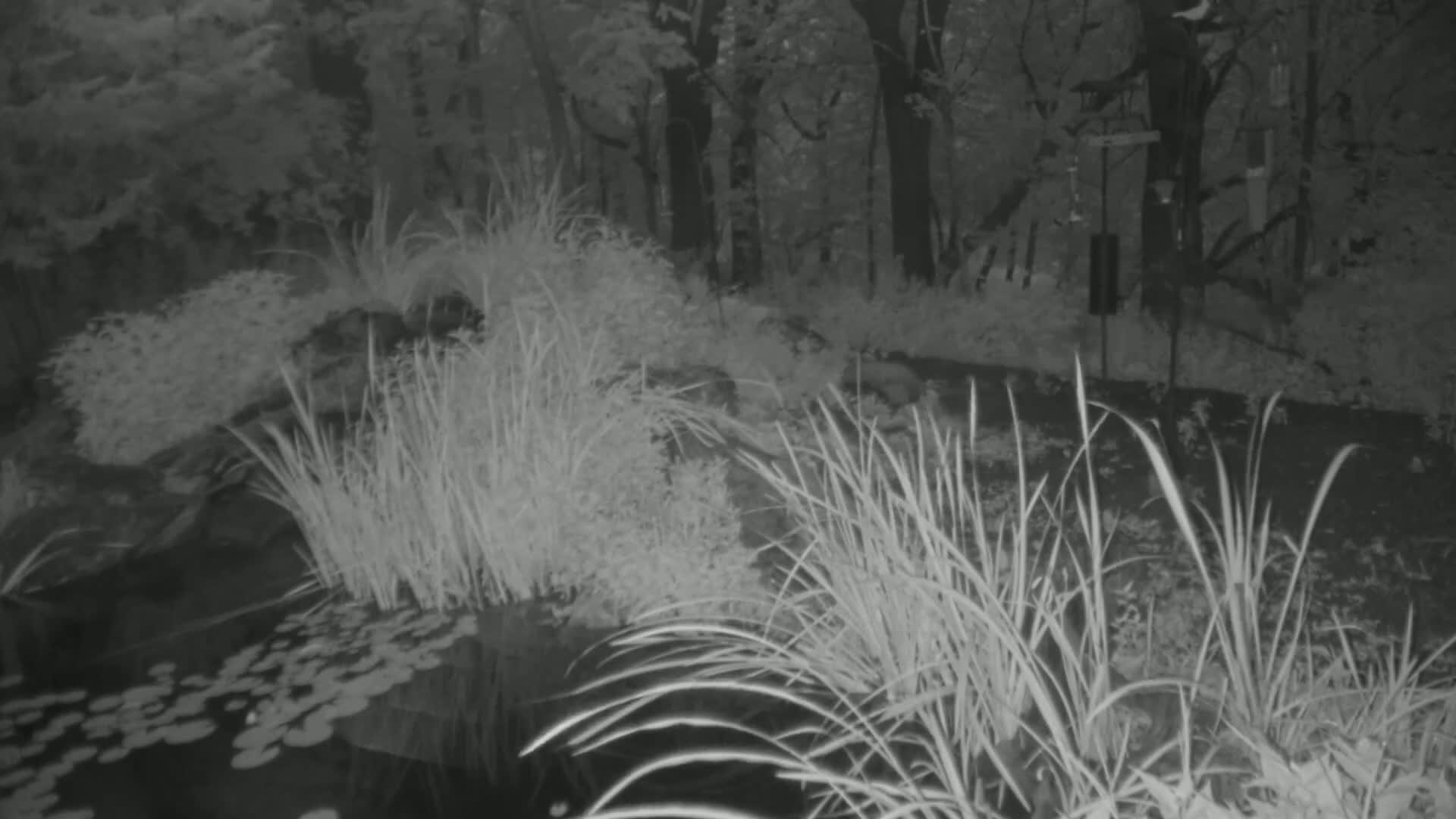 Bloomington, Richardson Nature Center Live Cam – Bloomington, Hennepin, Minnesota, USA