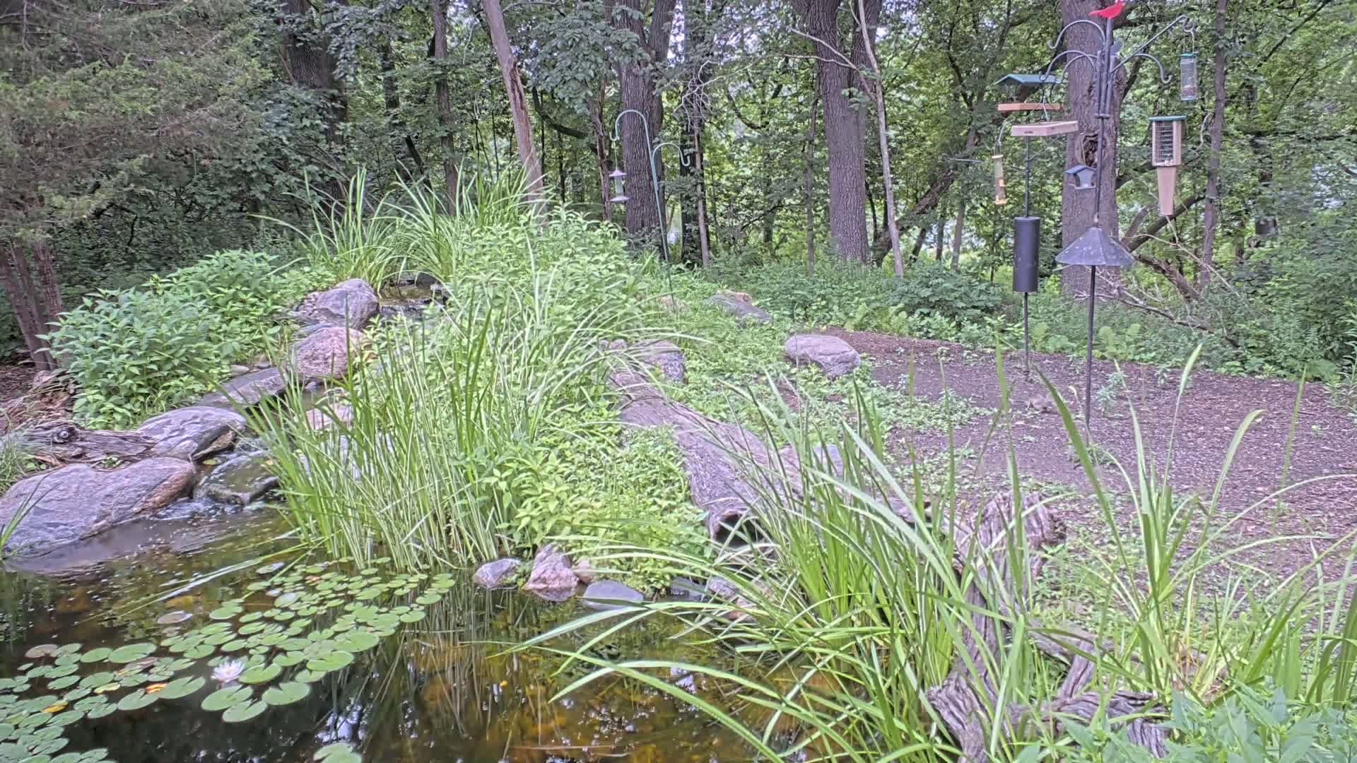 Bloomington, Richardson Nature Center Live Cam – Bloomington, Hennepin, Minnesota, USA