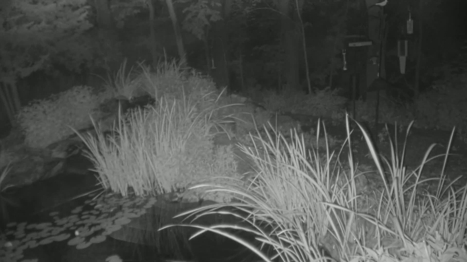 Bloomington, Richardson Nature Center Live Cam – Bloomington, Hennepin, Minnesota, USA