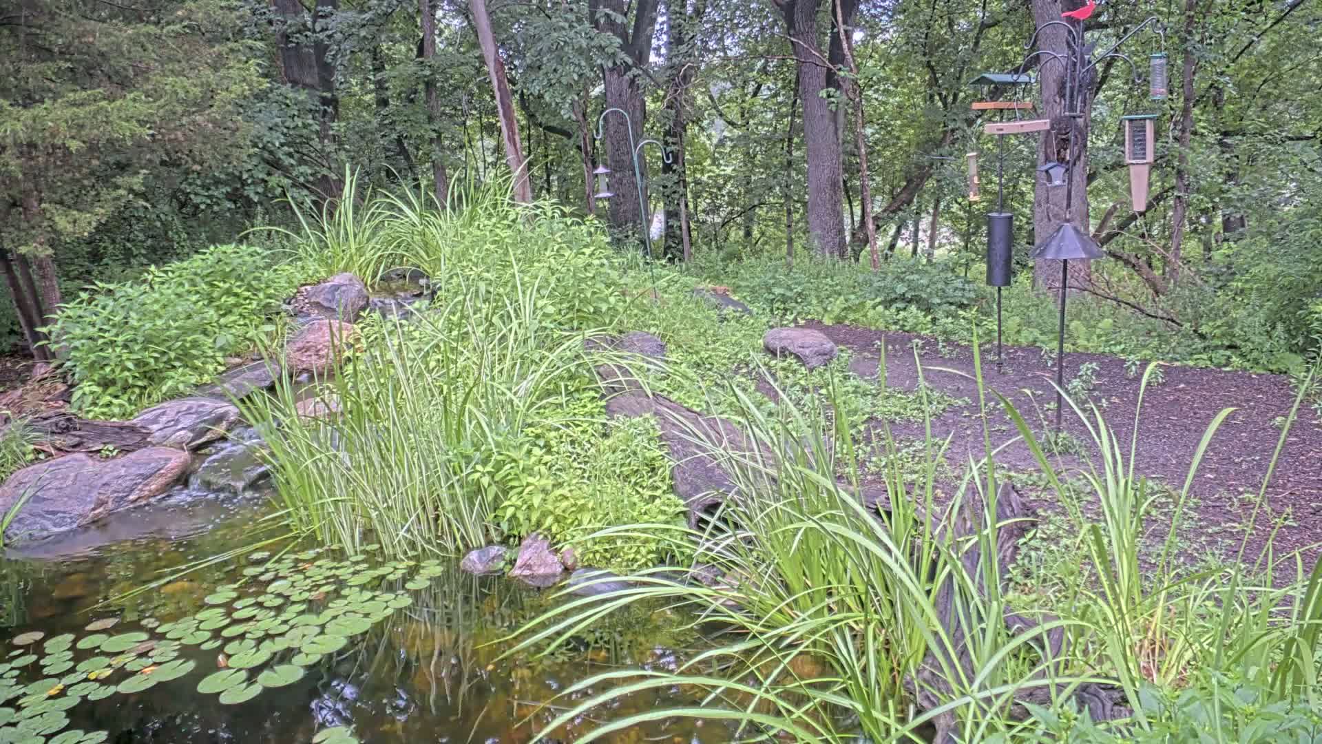 Bloomington, Richardson Nature Center Live Cam – Bloomington, Hennepin, Minnesota, USA