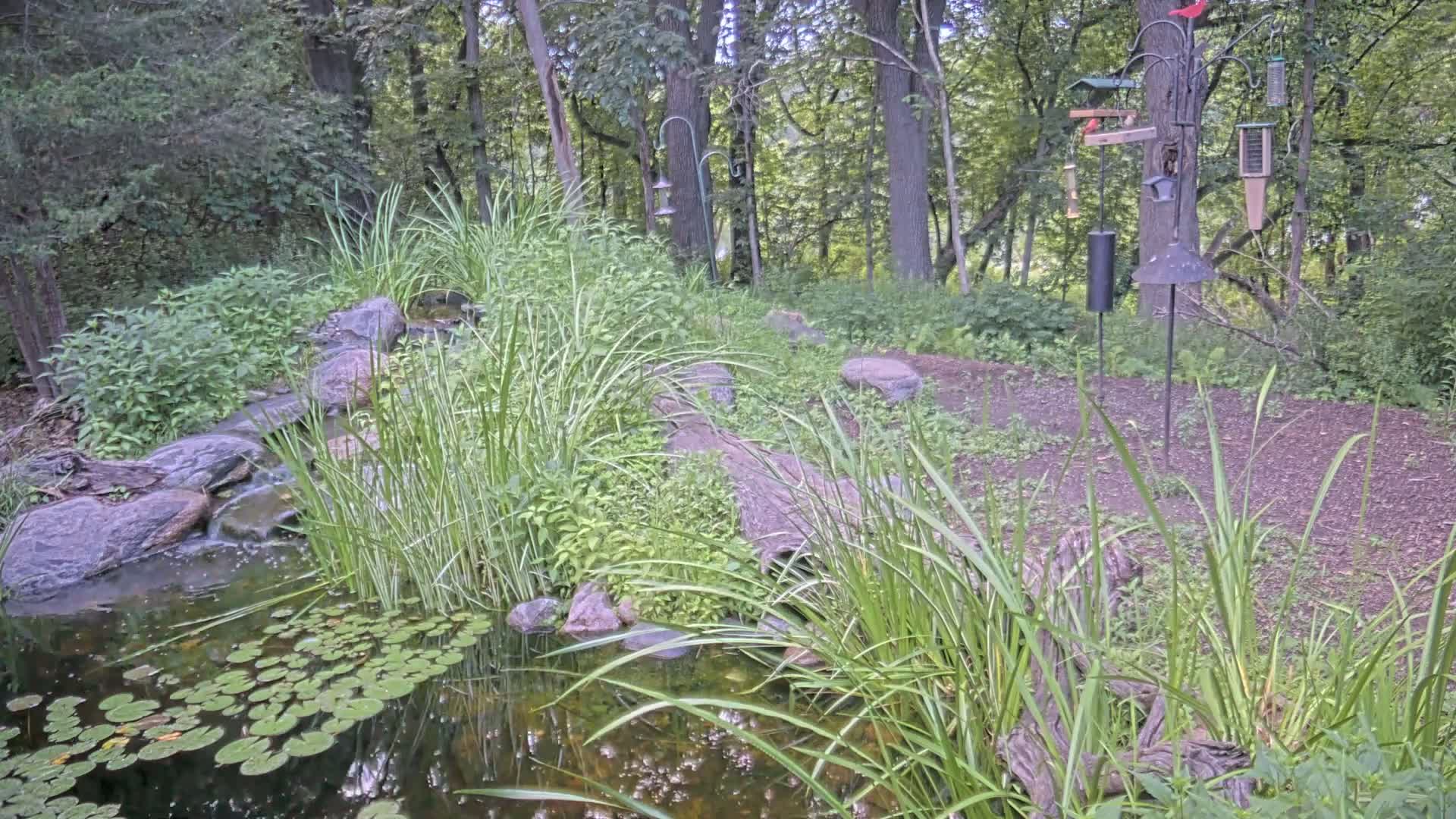 Bloomington, Richardson Nature Center Live Cam – Bloomington, Hennepin, Minnesota, USA