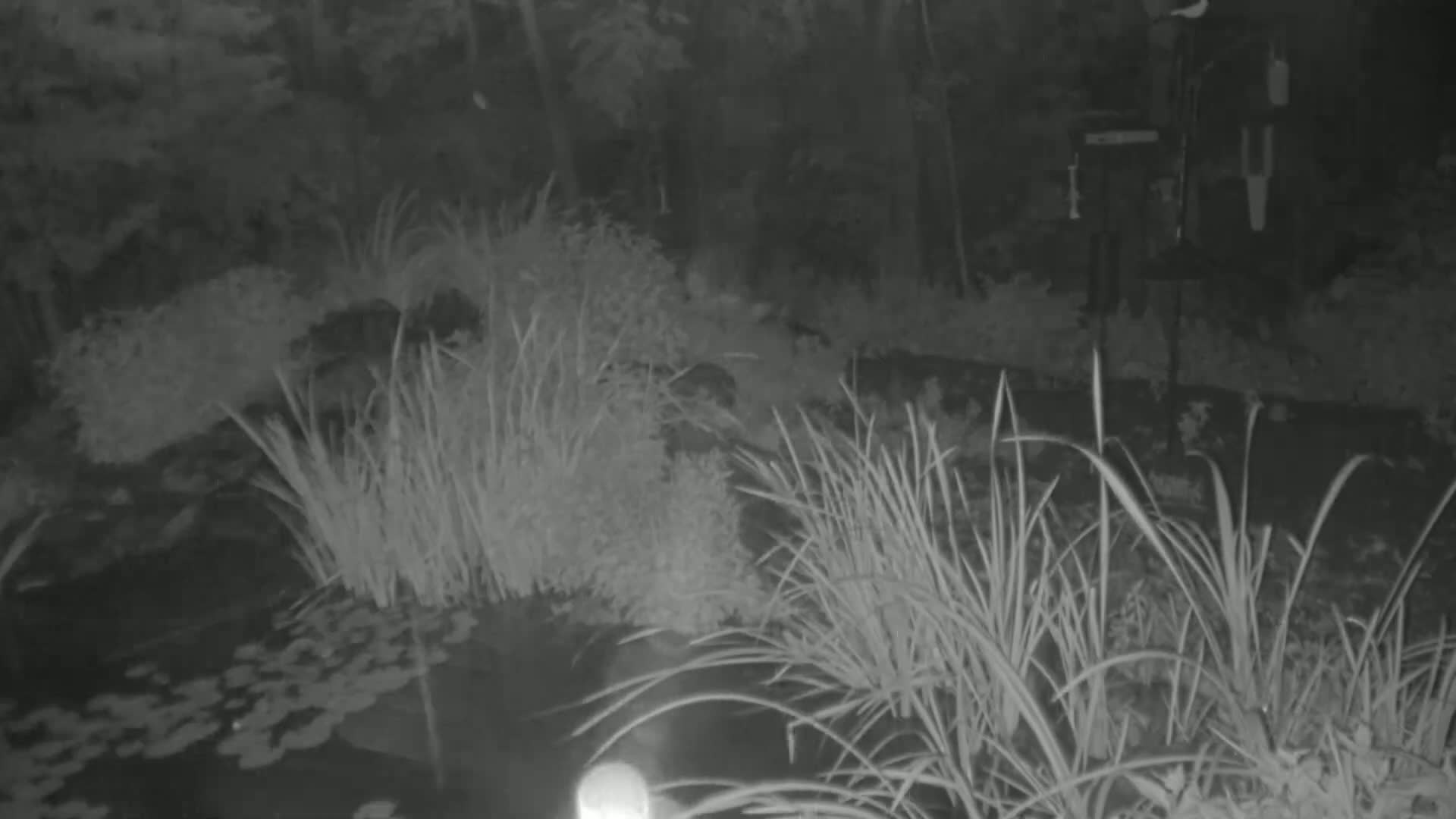 Bloomington, Richardson Nature Center Live Cam – Bloomington, Hennepin, Minnesota, USA
