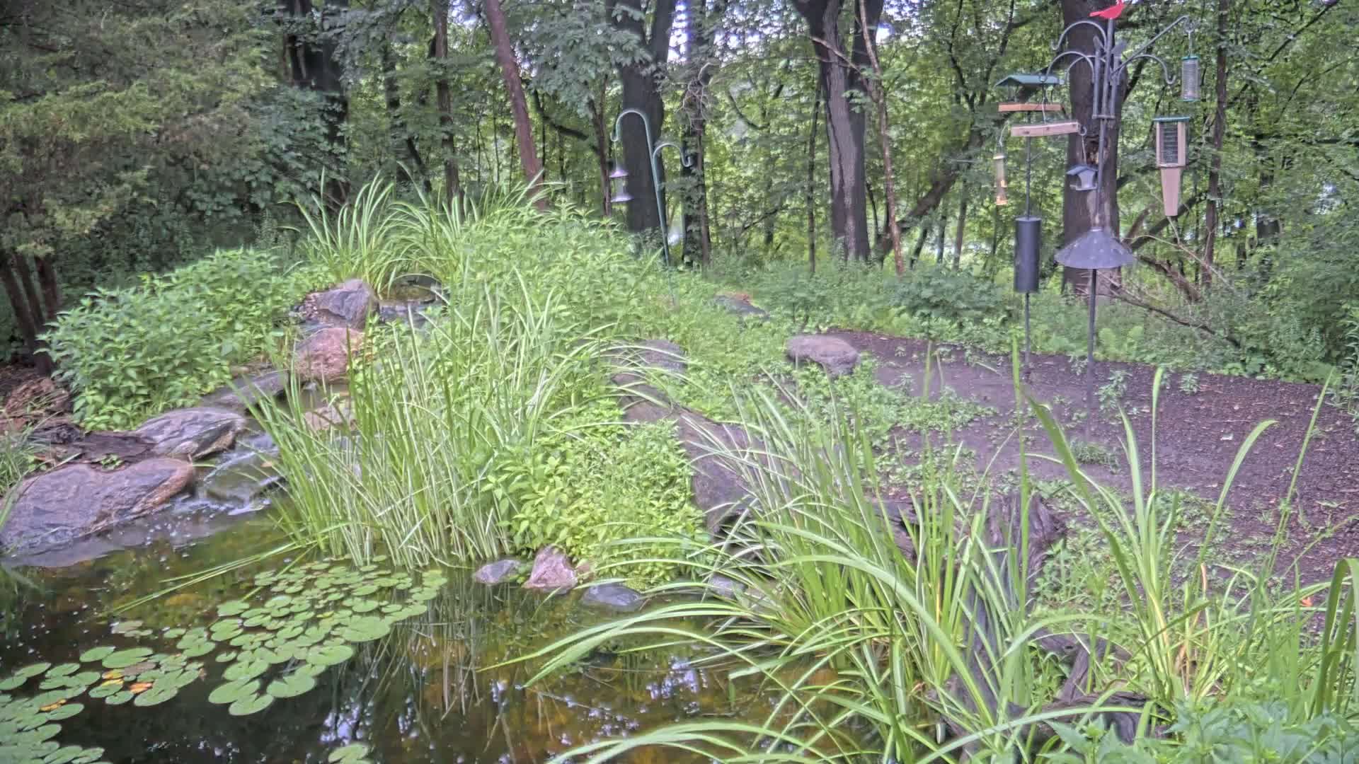 Bloomington, Richardson Nature Center Live Cam – Bloomington, Hennepin, Minnesota, USA
