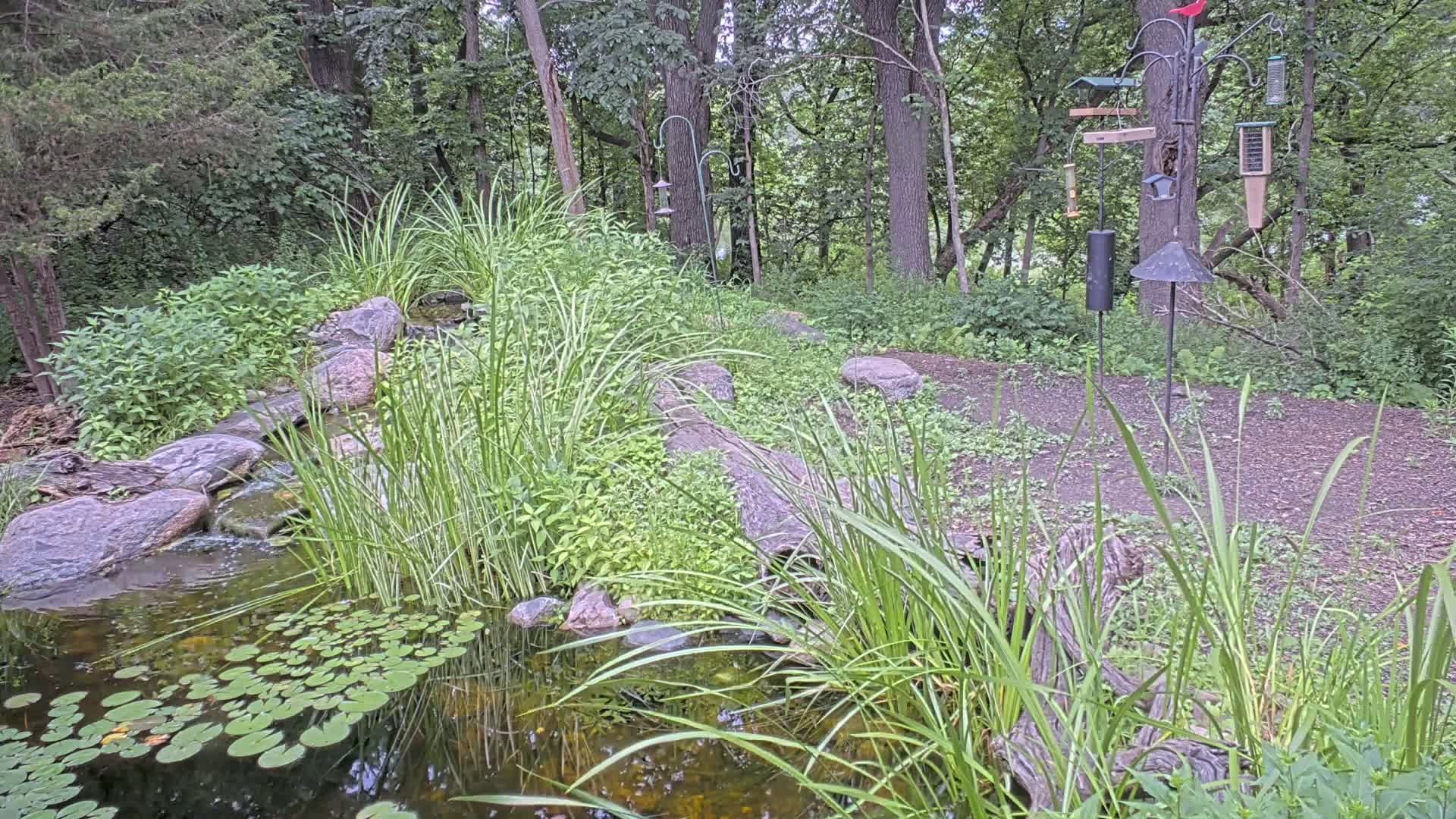 Bloomington, Richardson Nature Center Live Cam – Bloomington, Hennepin, Minnesota, USA