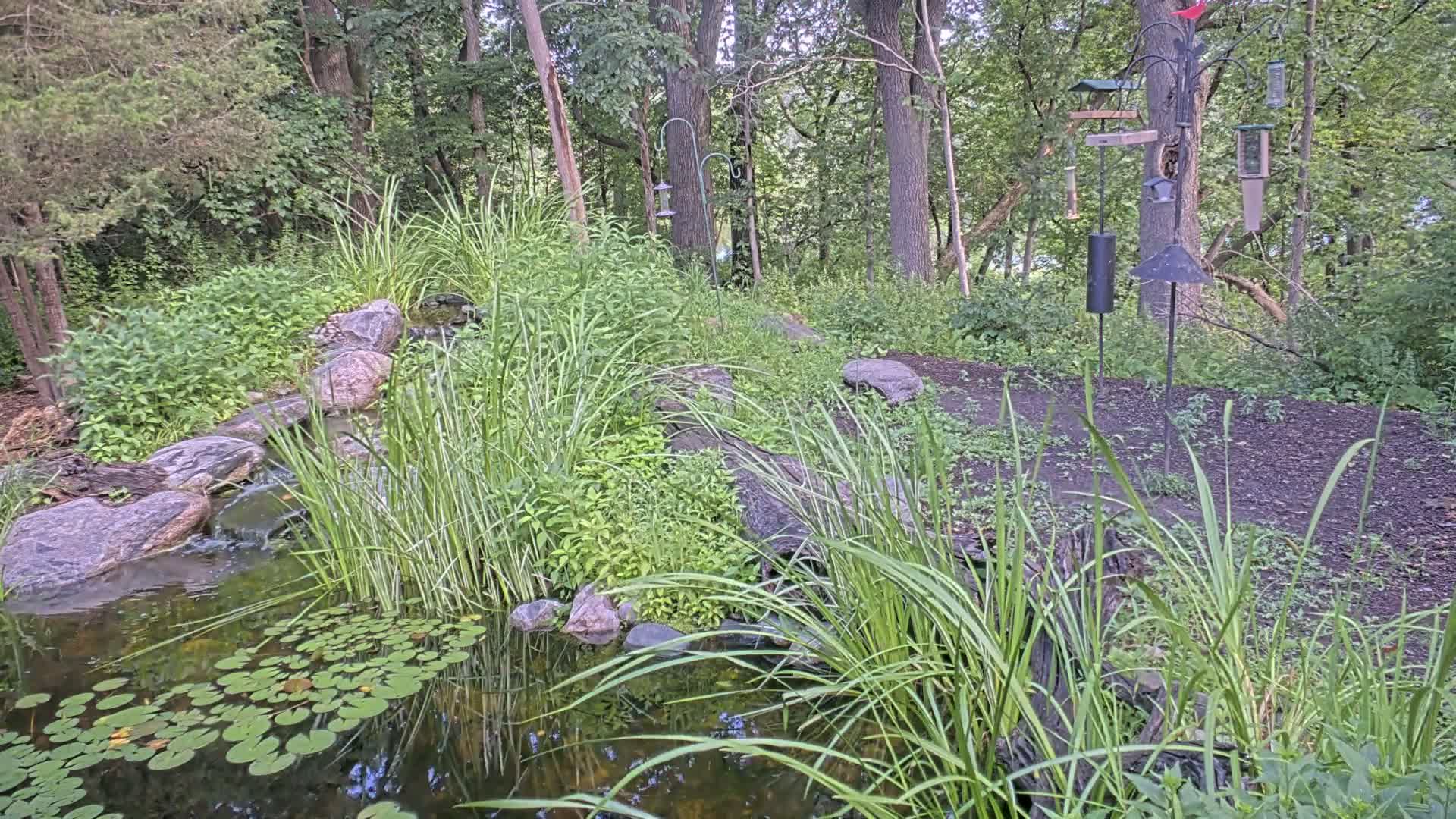 Bloomington, Richardson Nature Center Live Cam – Bloomington, Hennepin, Minnesota, USA