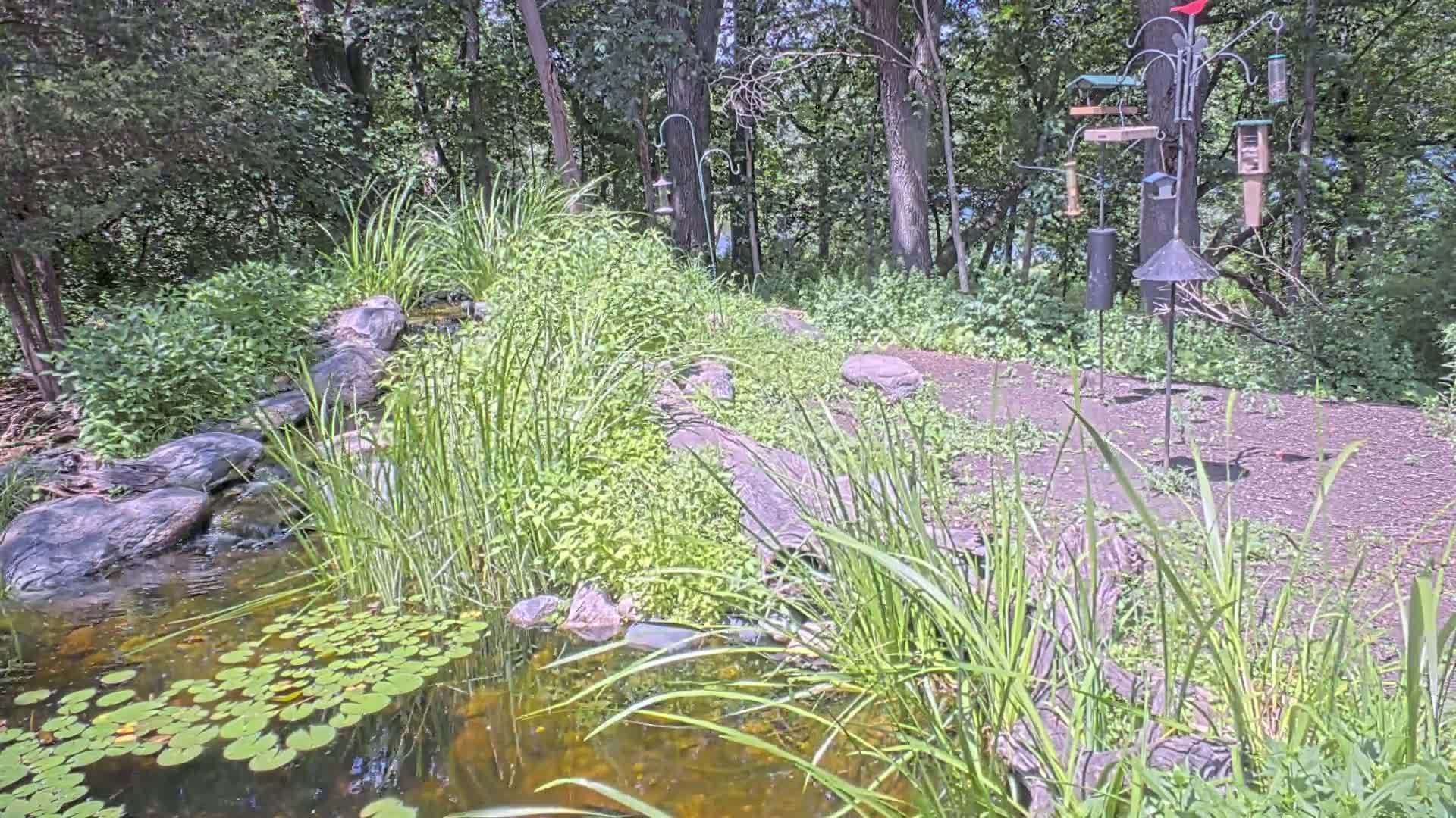 Bloomington, Richardson Nature Center Live Cam – Bloomington, Hennepin, Minnesota, USA