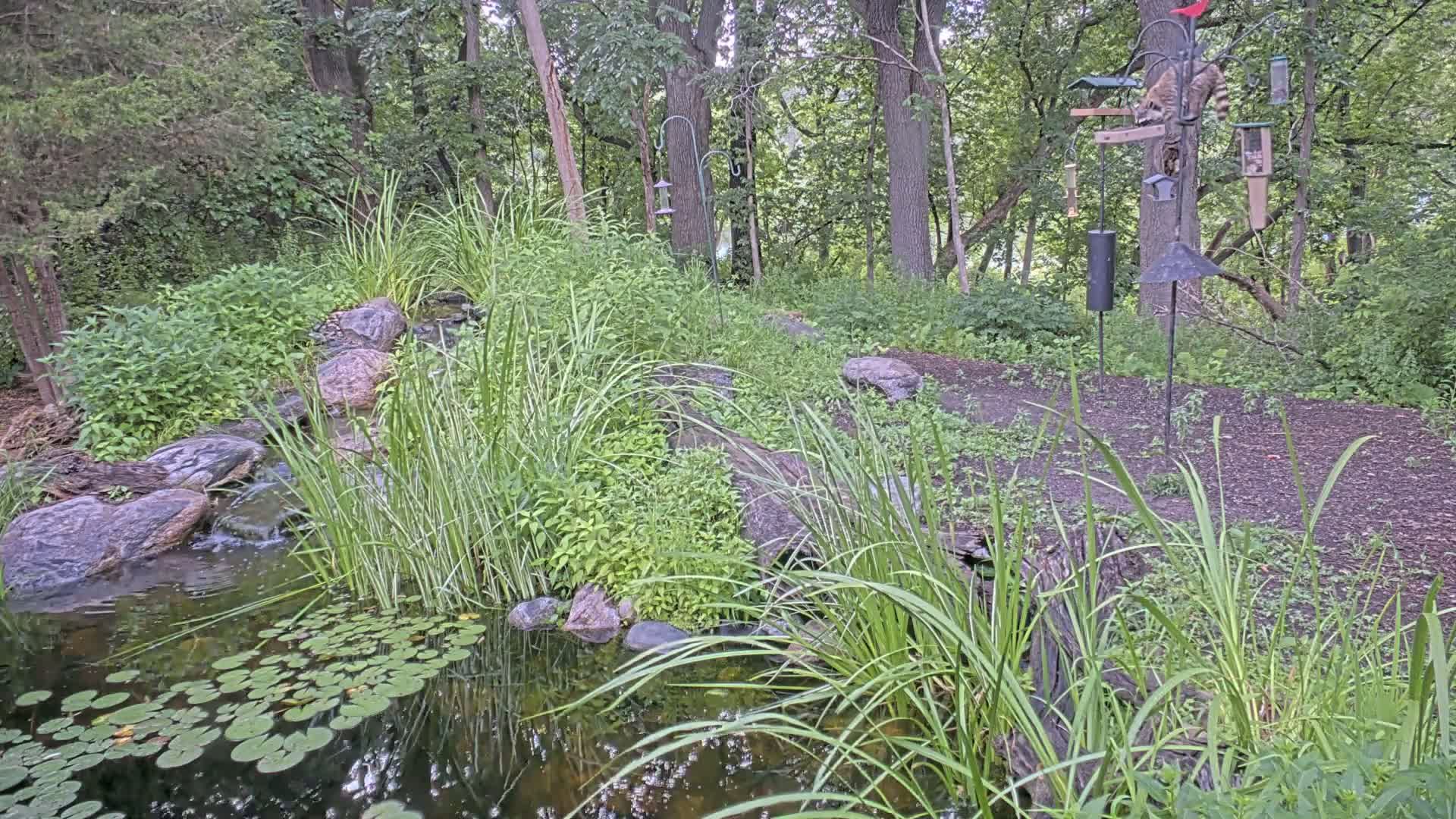 Bloomington, Richardson Nature Center Live Cam – Bloomington, Hennepin, Minnesota, USA