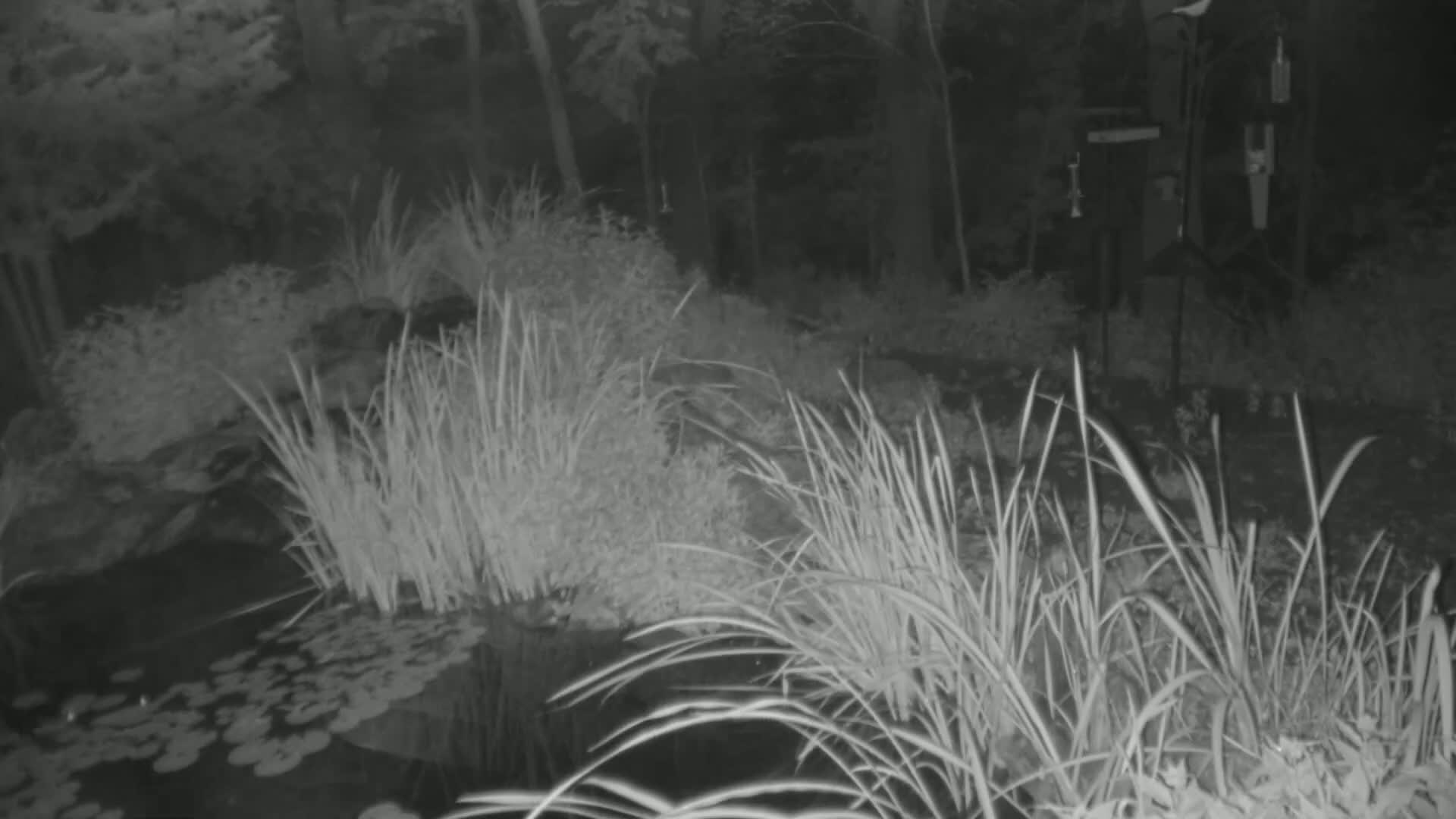 Bloomington, Richardson Nature Center Live Cam – Bloomington, Hennepin, Minnesota, USA