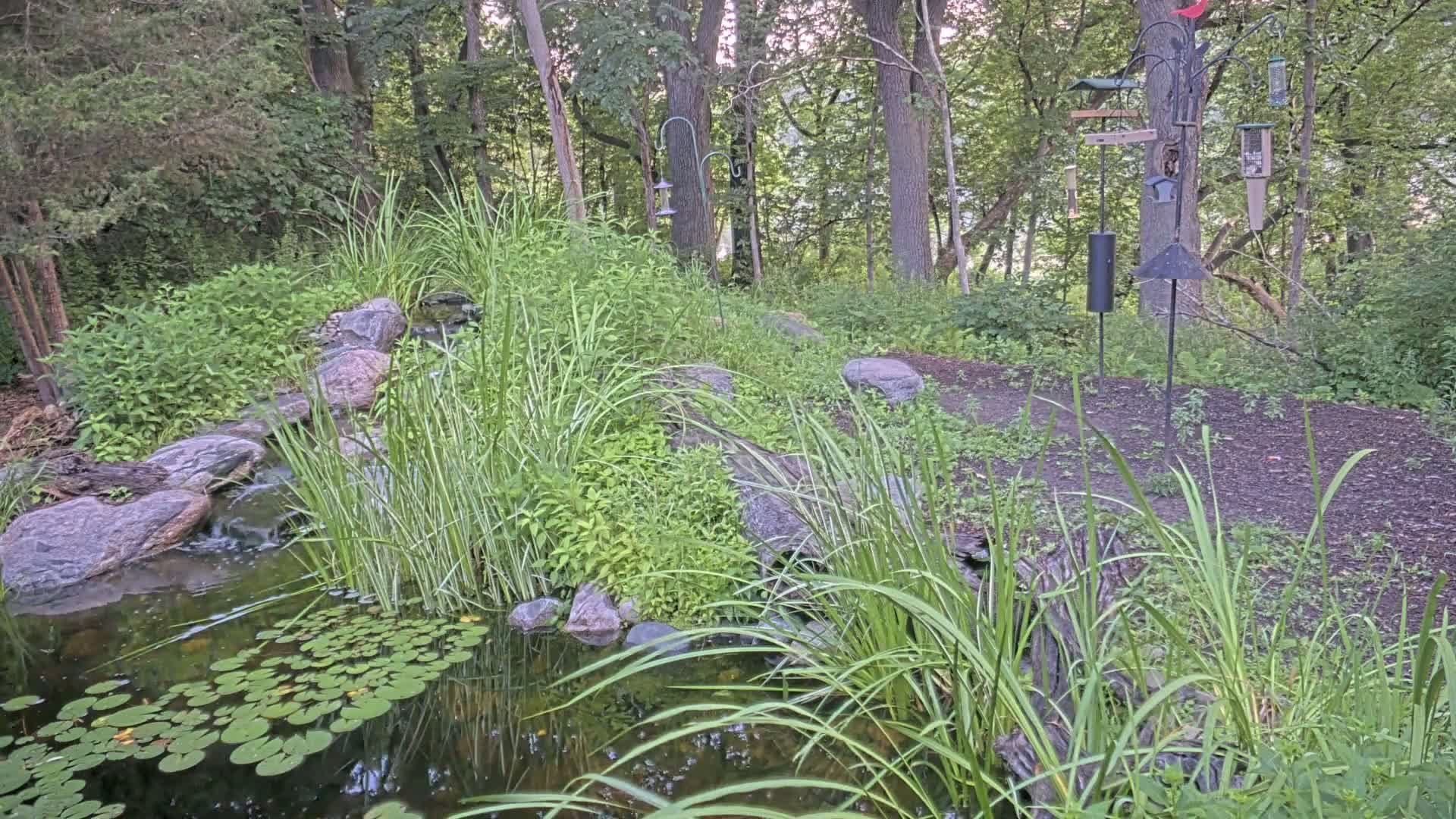 Bloomington, Richardson Nature Center Live Cam – Bloomington, Hennepin, Minnesota, USA