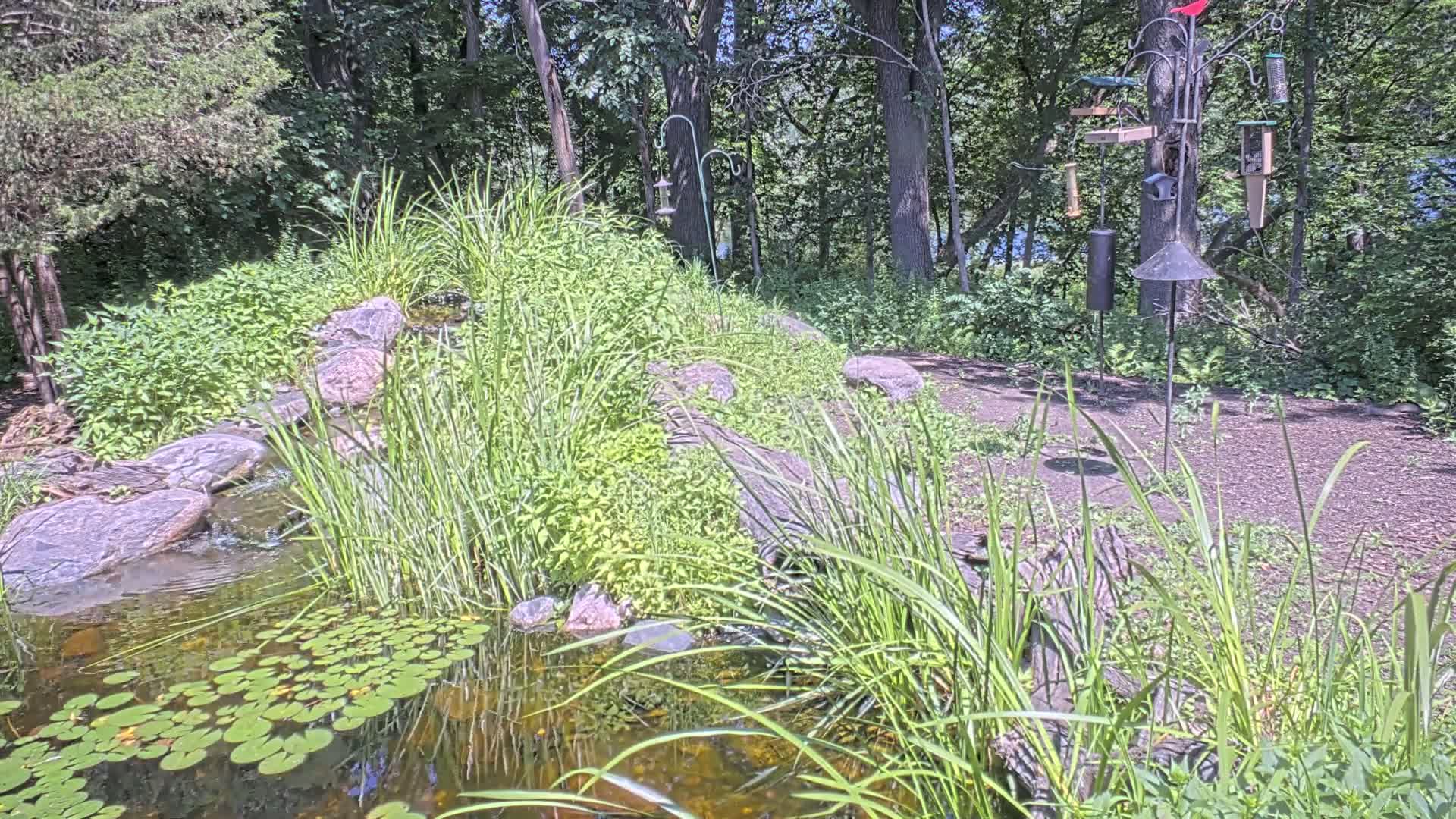 Bloomington, Richardson Nature Center Live Cam – Bloomington, Hennepin, Minnesota, USA