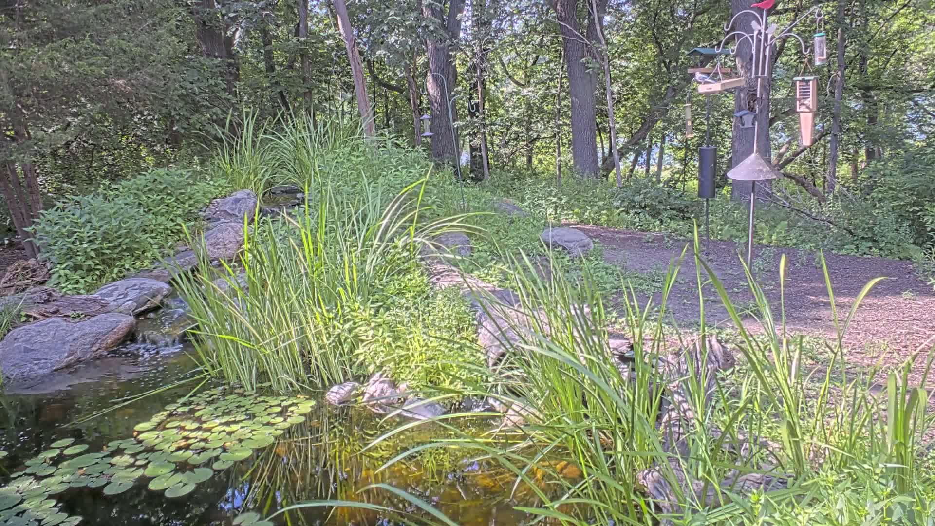 Bloomington, Richardson Nature Center Live Cam – Bloomington, Hennepin, Minnesota, USA