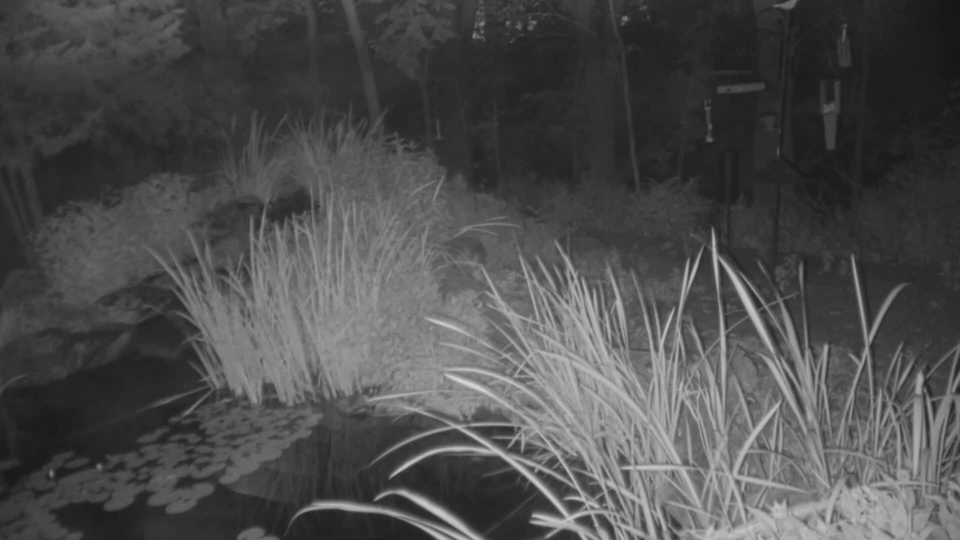 Bloomington, Richardson Nature Center Live Cam – Bloomington, Hennepin, Minnesota, USA