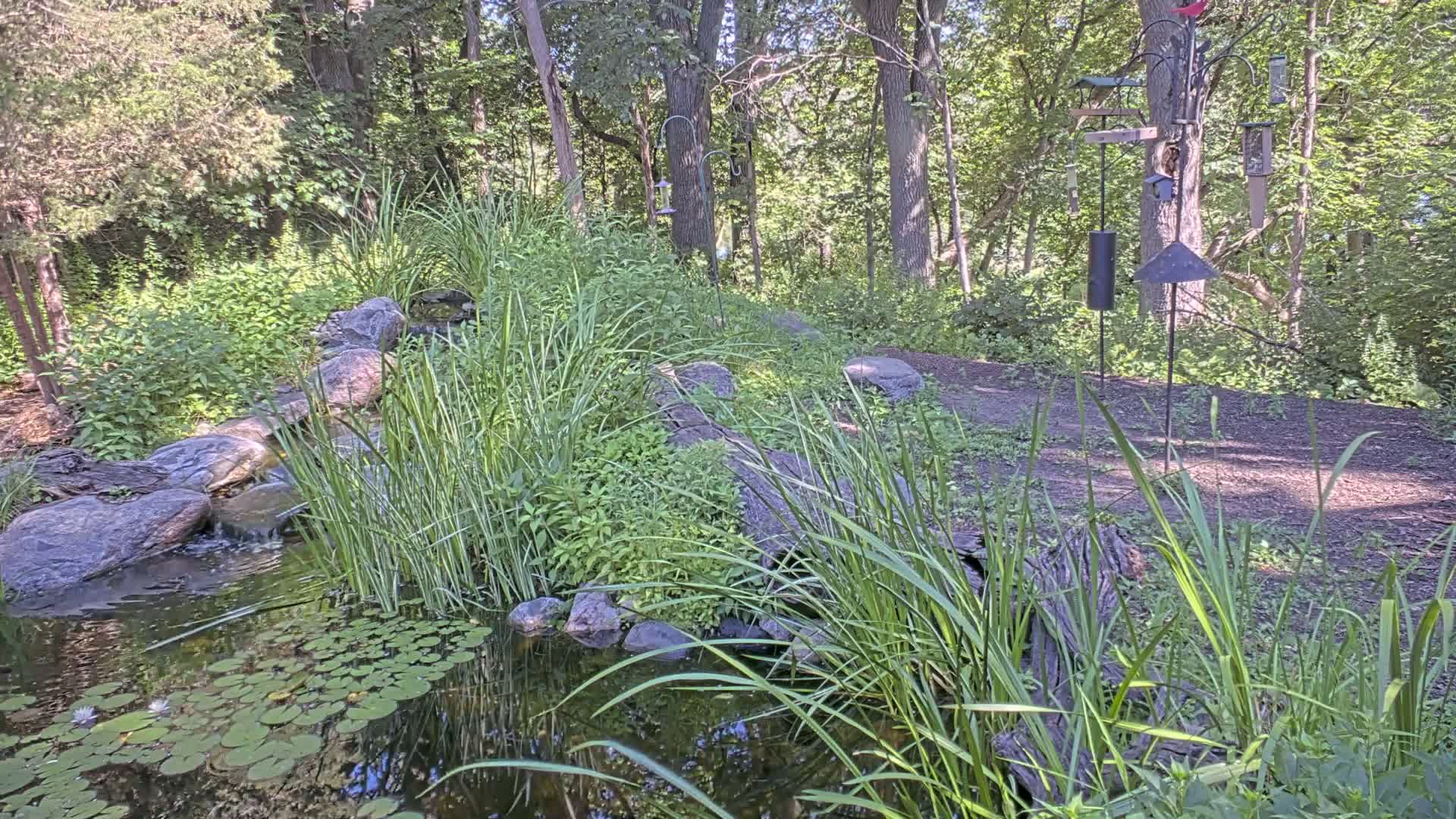 Bloomington, Richardson Nature Center Live Cam – Bloomington, Hennepin, Minnesota, USA